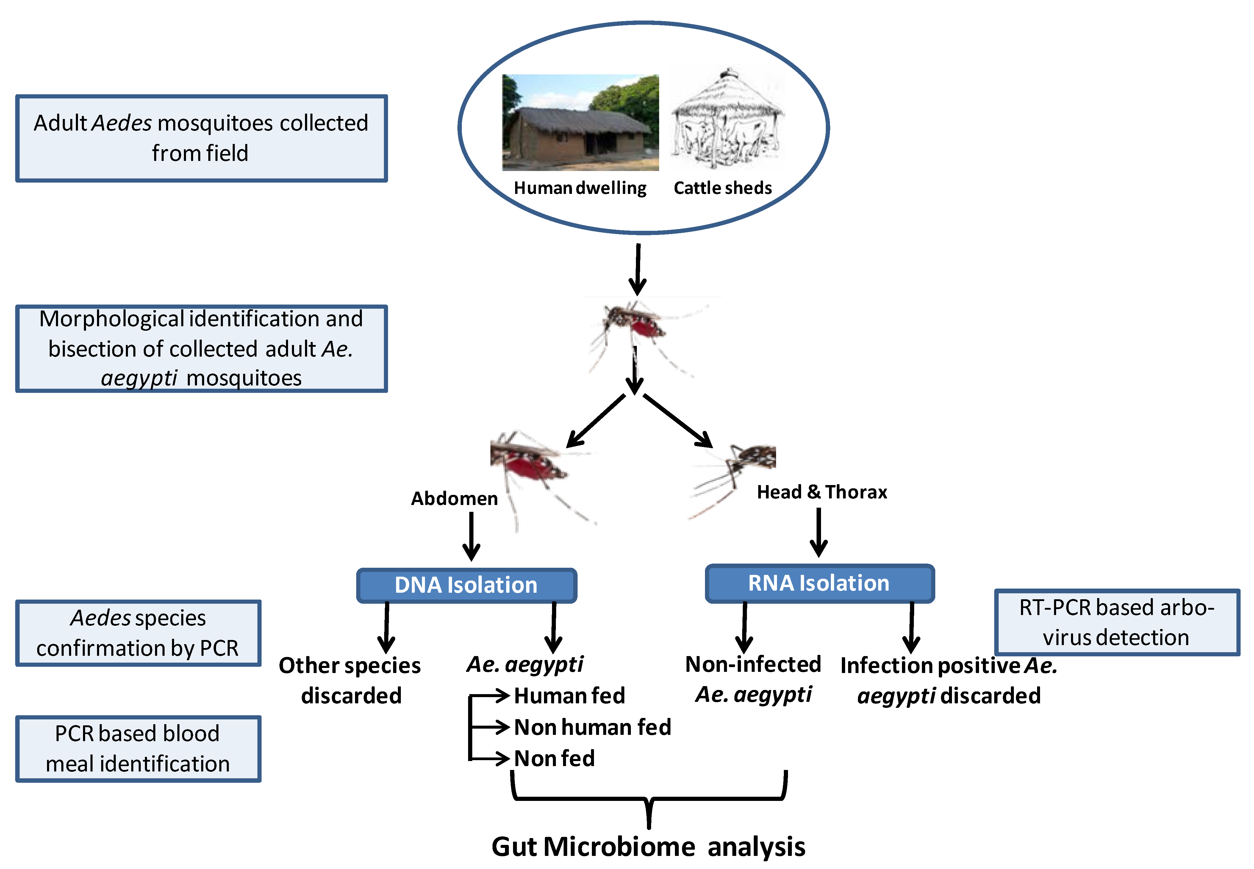Microorganisms 10 00332 g001 550
