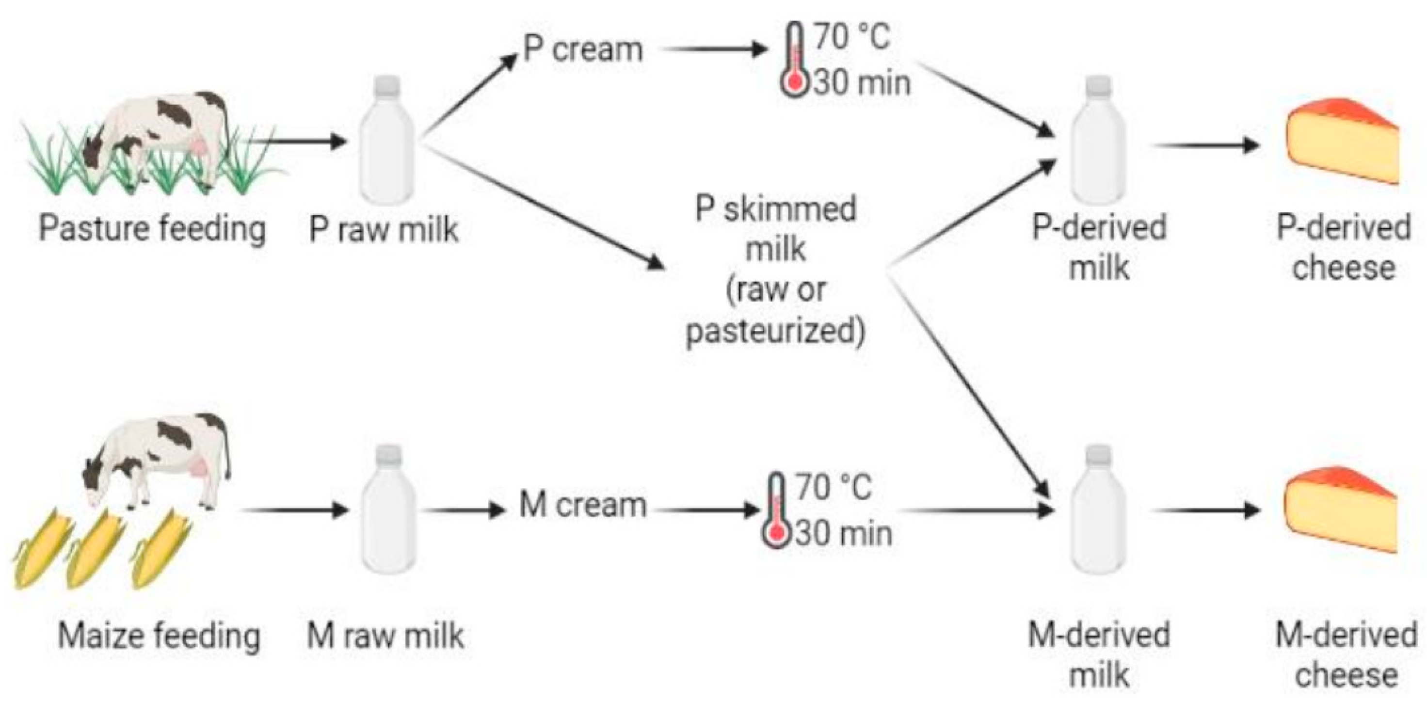 Microorganisms 10 00334 g001 550