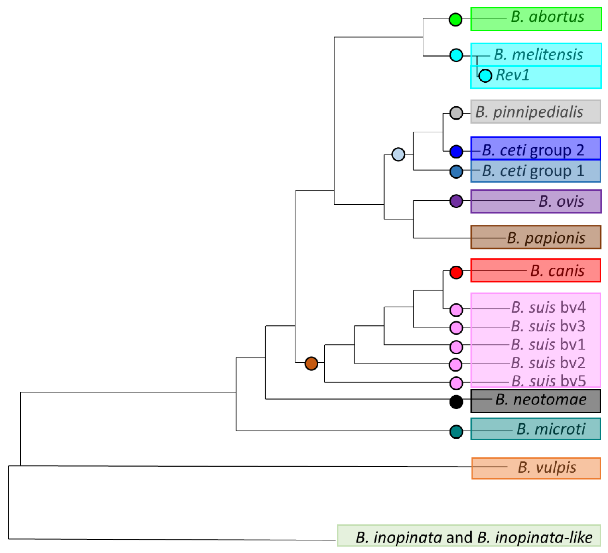 Microorganisms 10 00336 g002