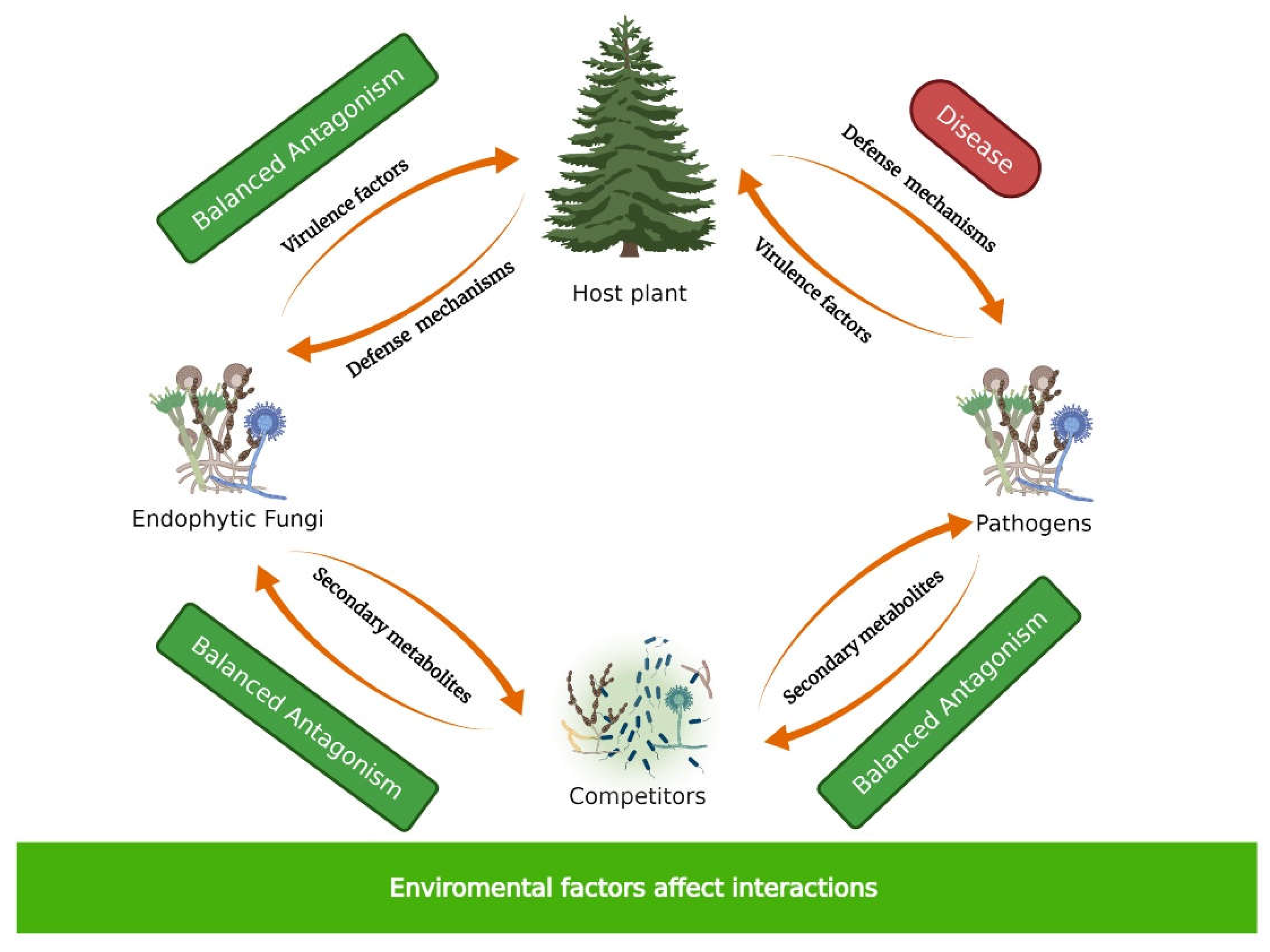 Microorganisms 10 00339 g001