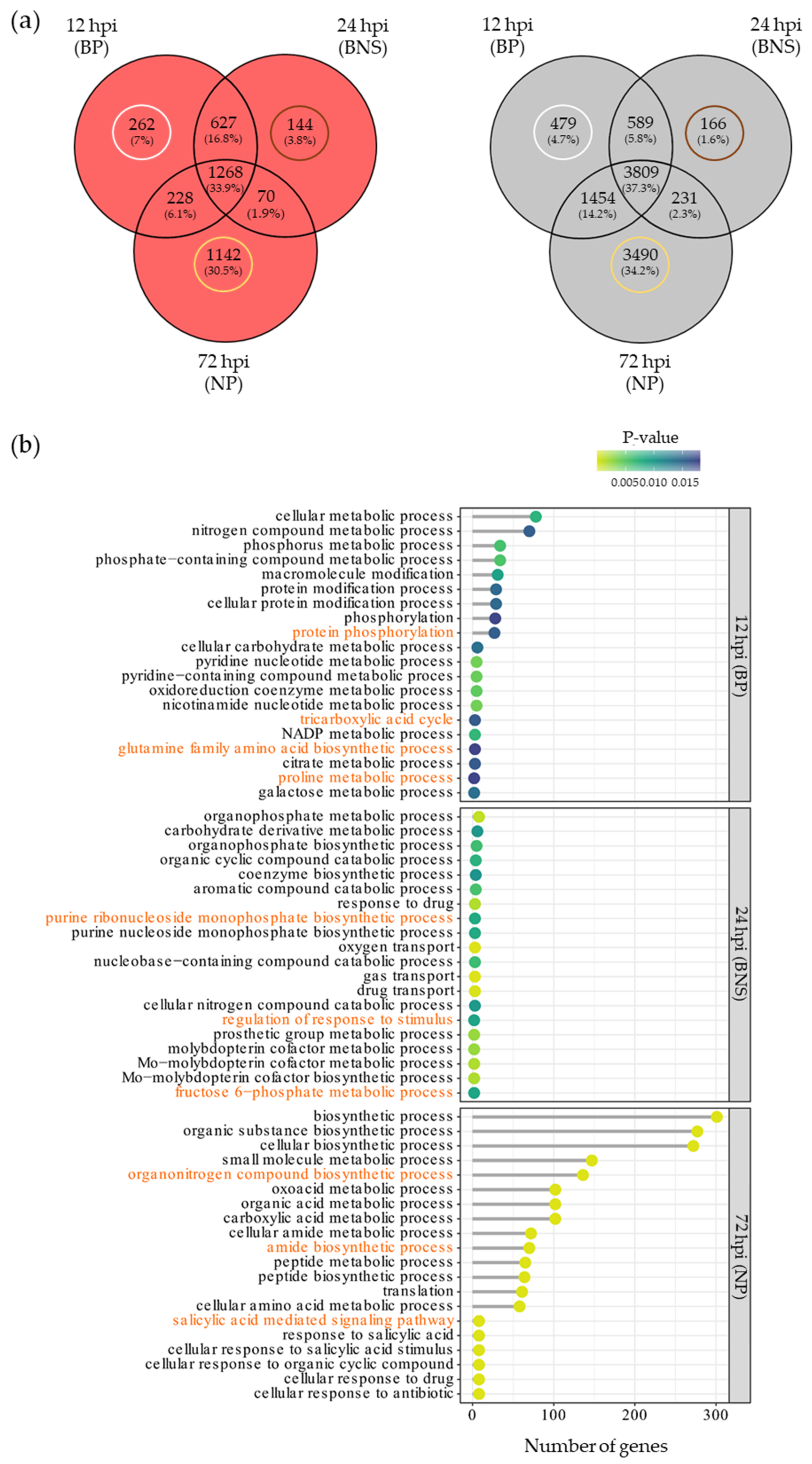 Microorganisms 10 00343 g005 Microorganisms 10 00343 g005