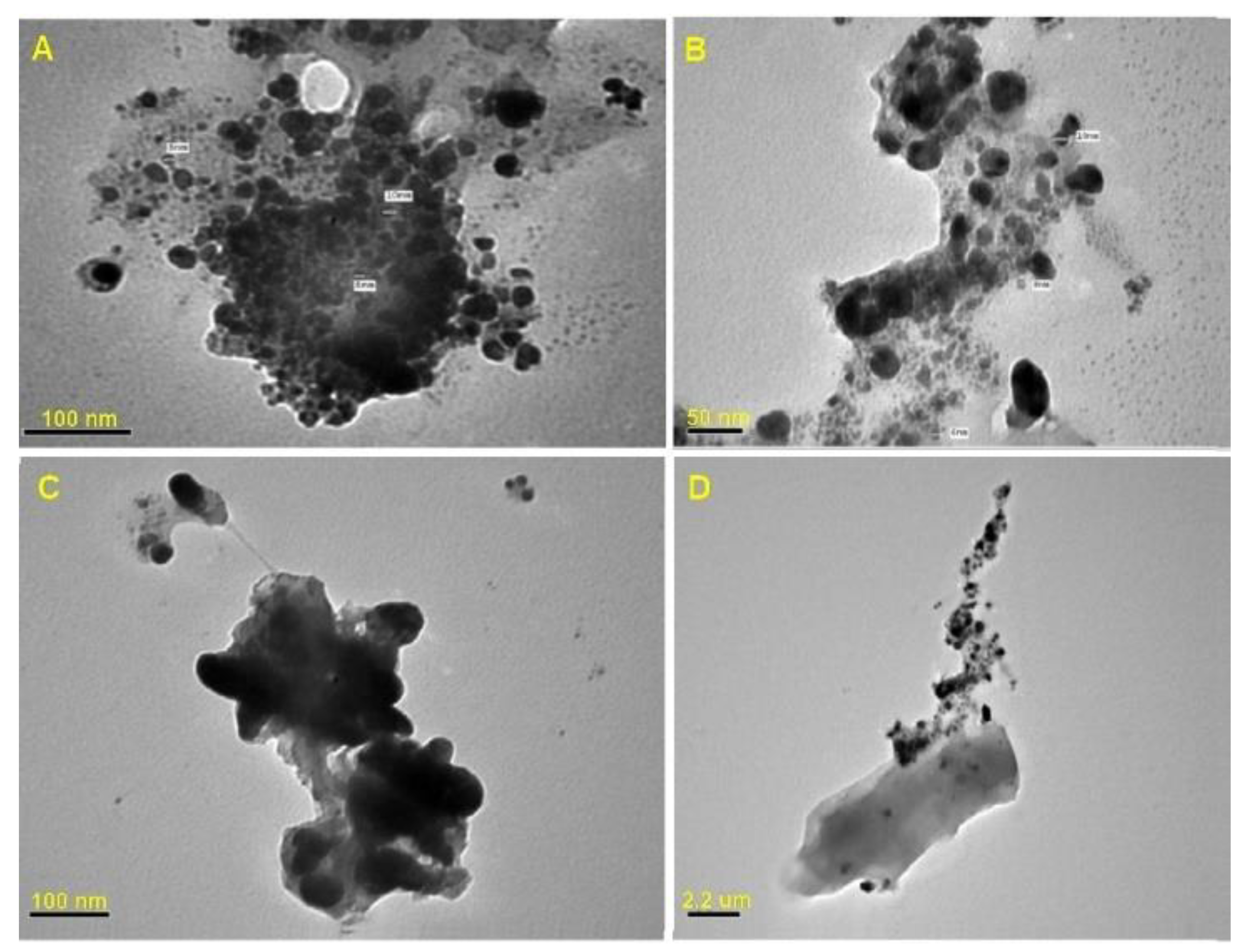Microorganisms 10 00344 g004