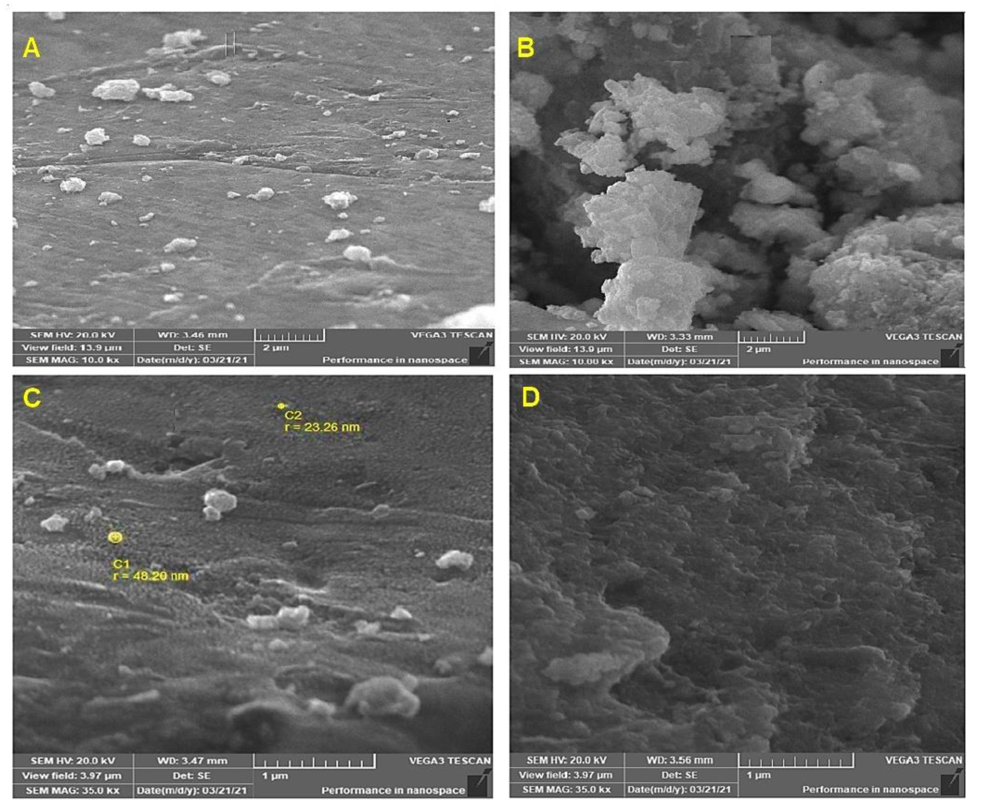 Microorganisms 10 00344 g005