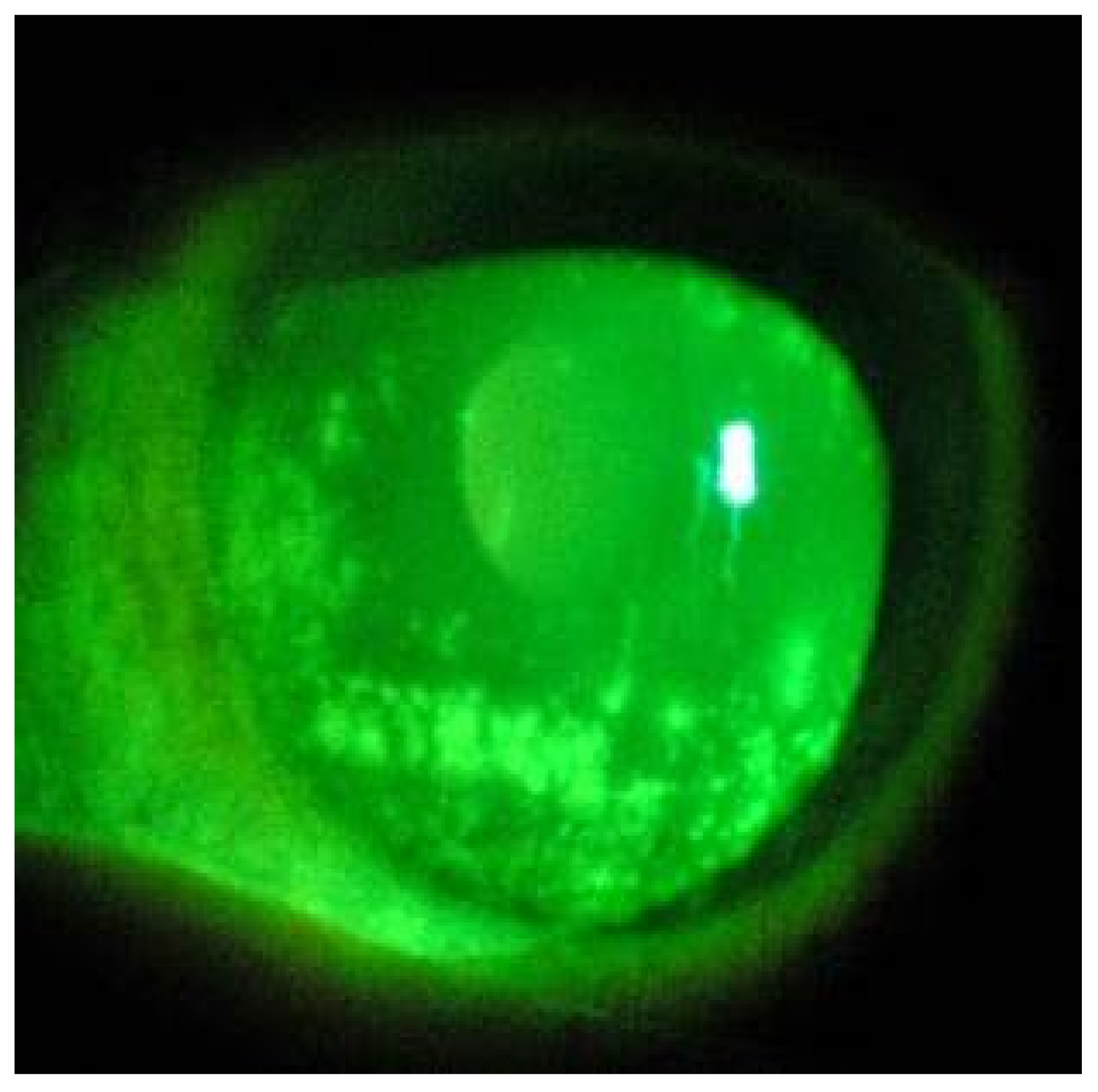 Microorganisms 10 00347 g001