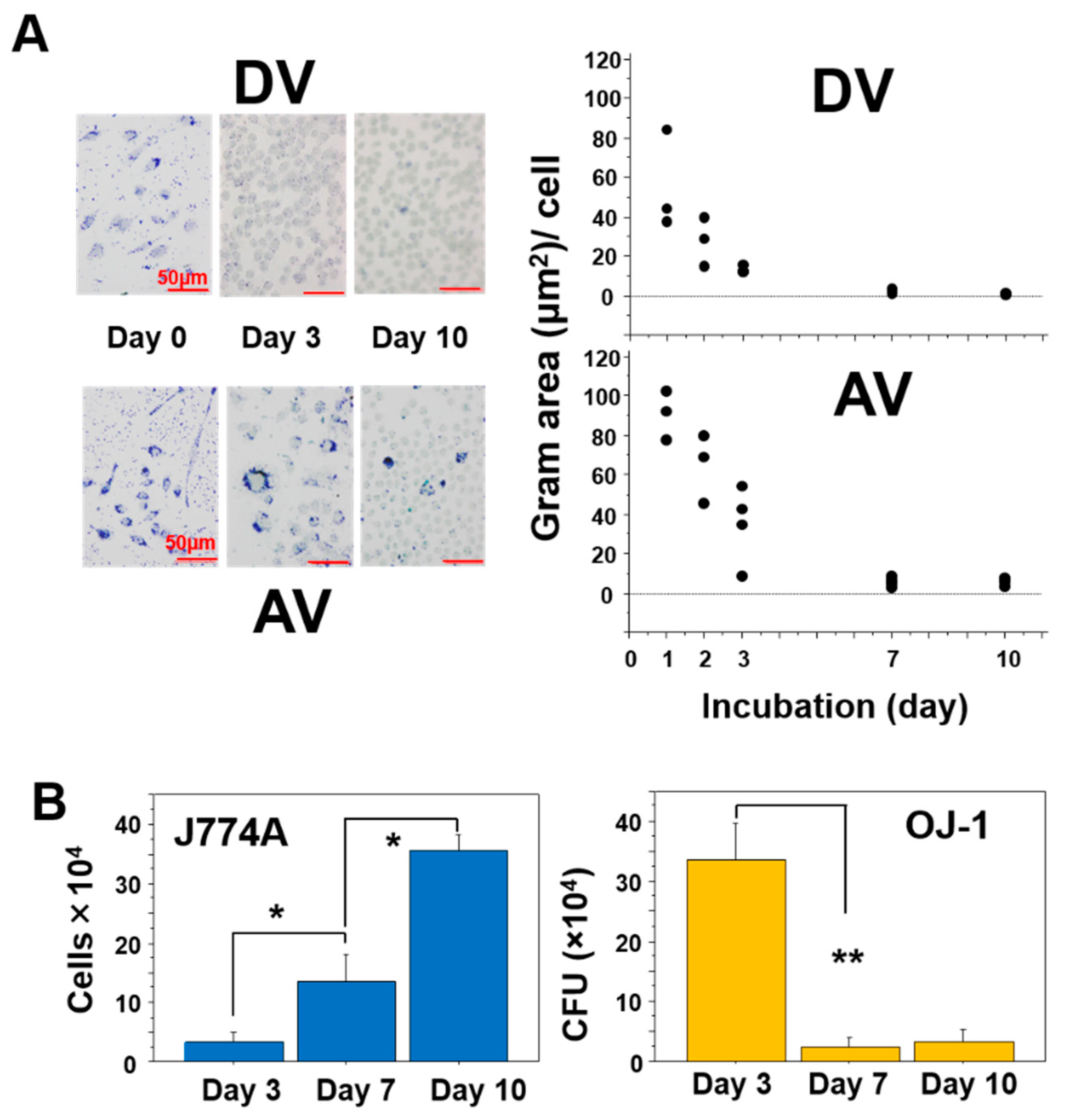 Microorganisms 10 00348 g003 550