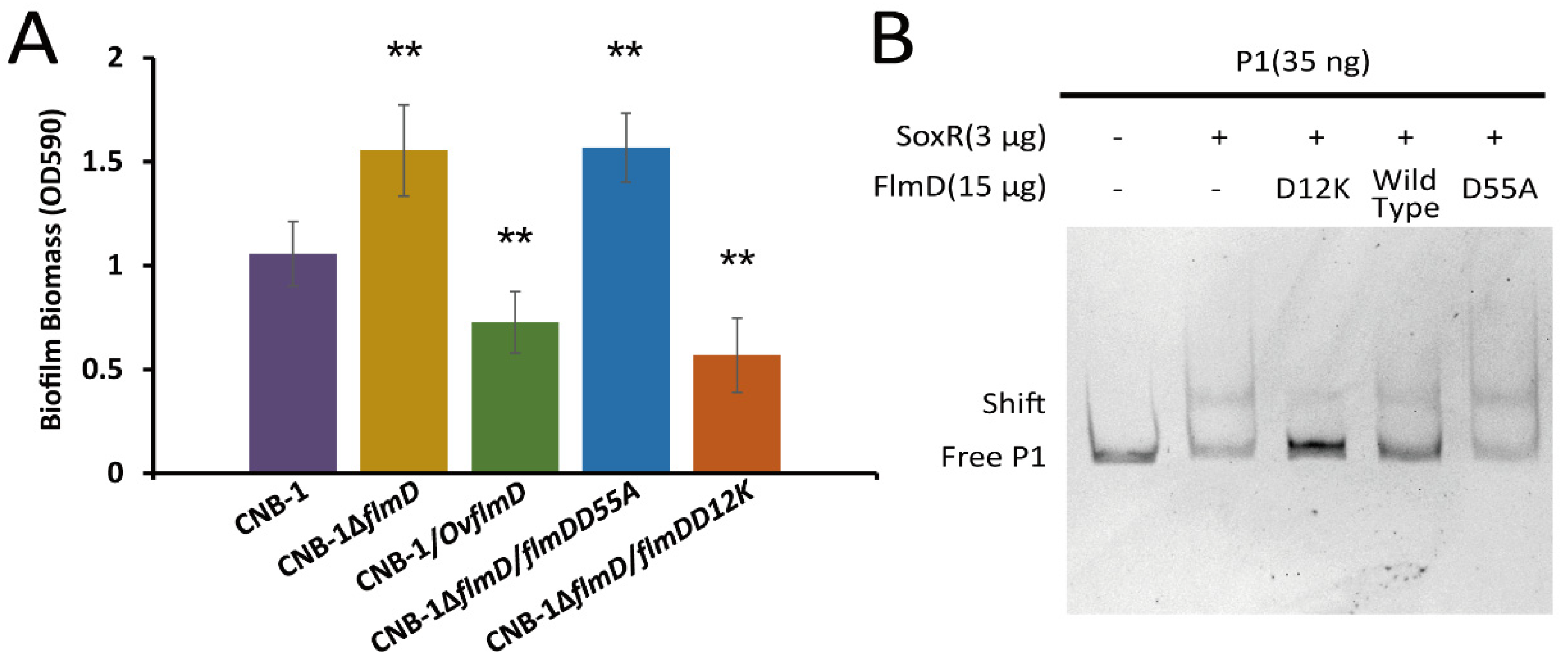 Microorganisms 10 00356 g004