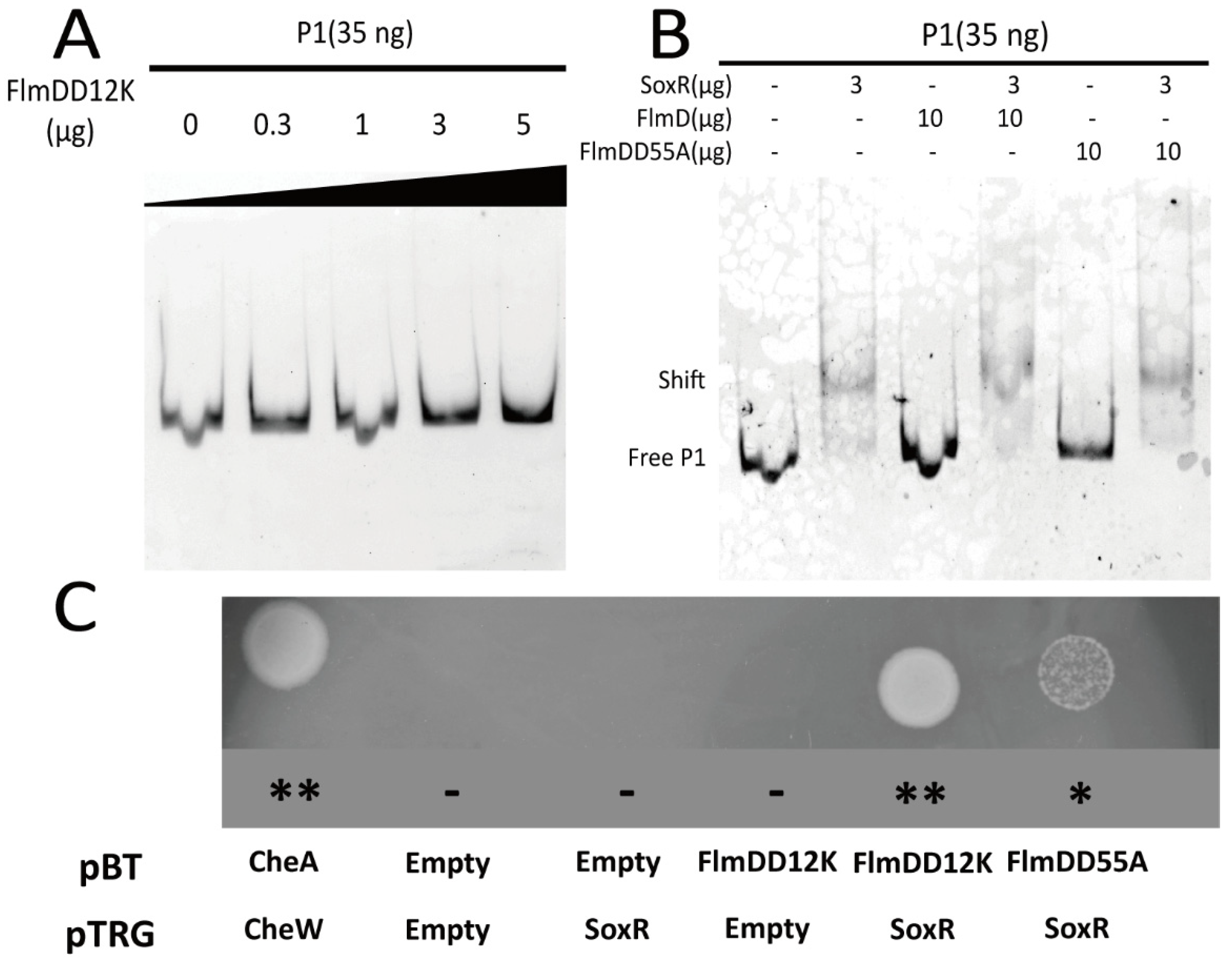 Microorganisms 10 00356 g005