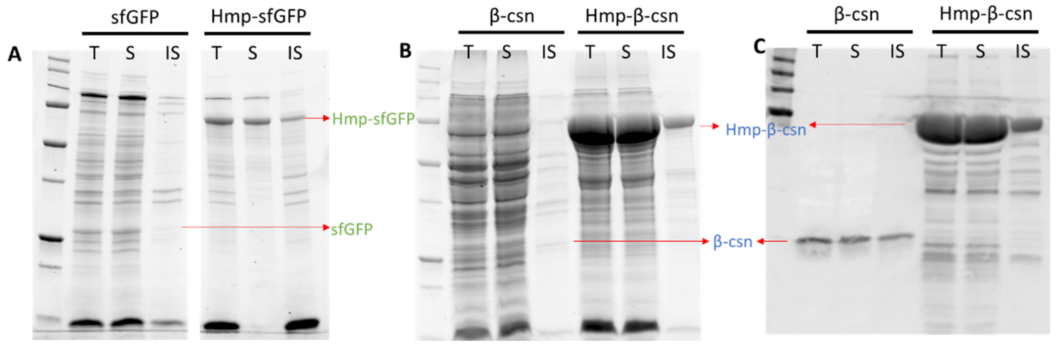 Microorganisms 10 00358 g004 550