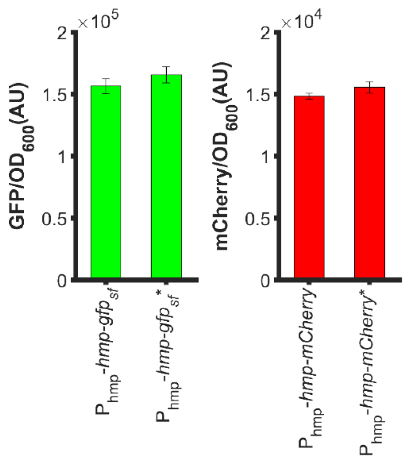 Microorganisms 10 00358 g007 550