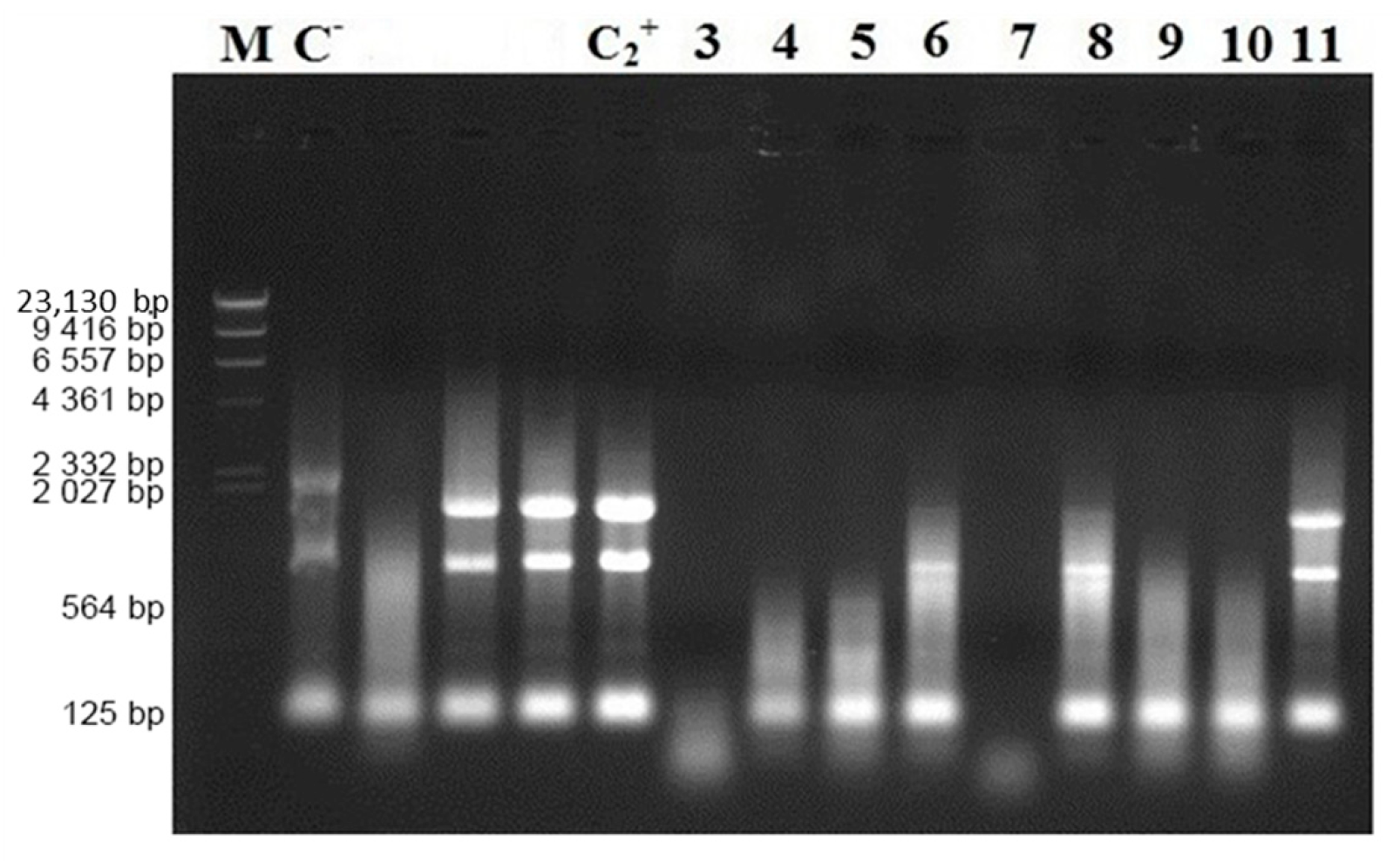 Microorganisms 10 00359 g002