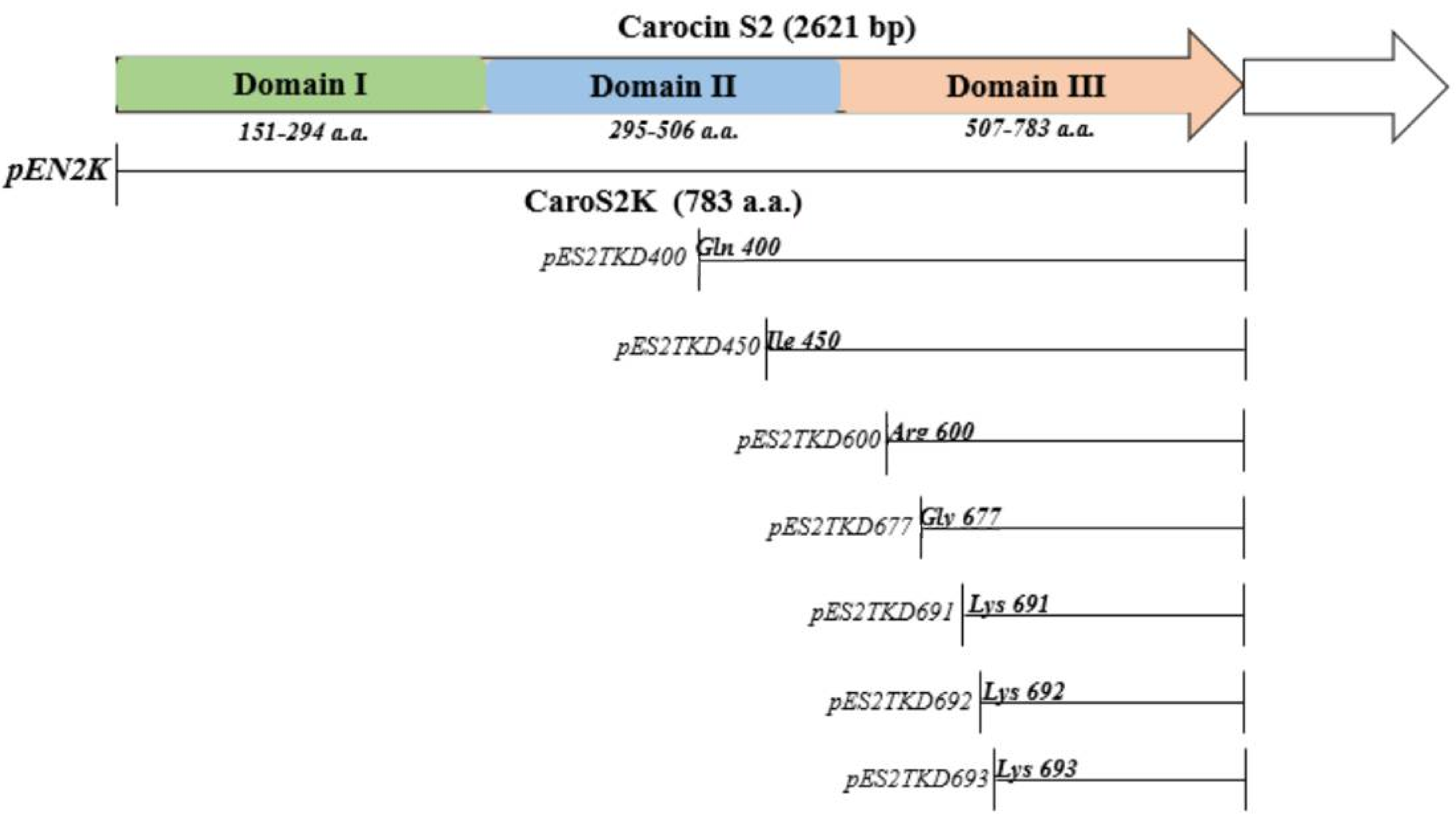 Microorganisms 10 00359 g003