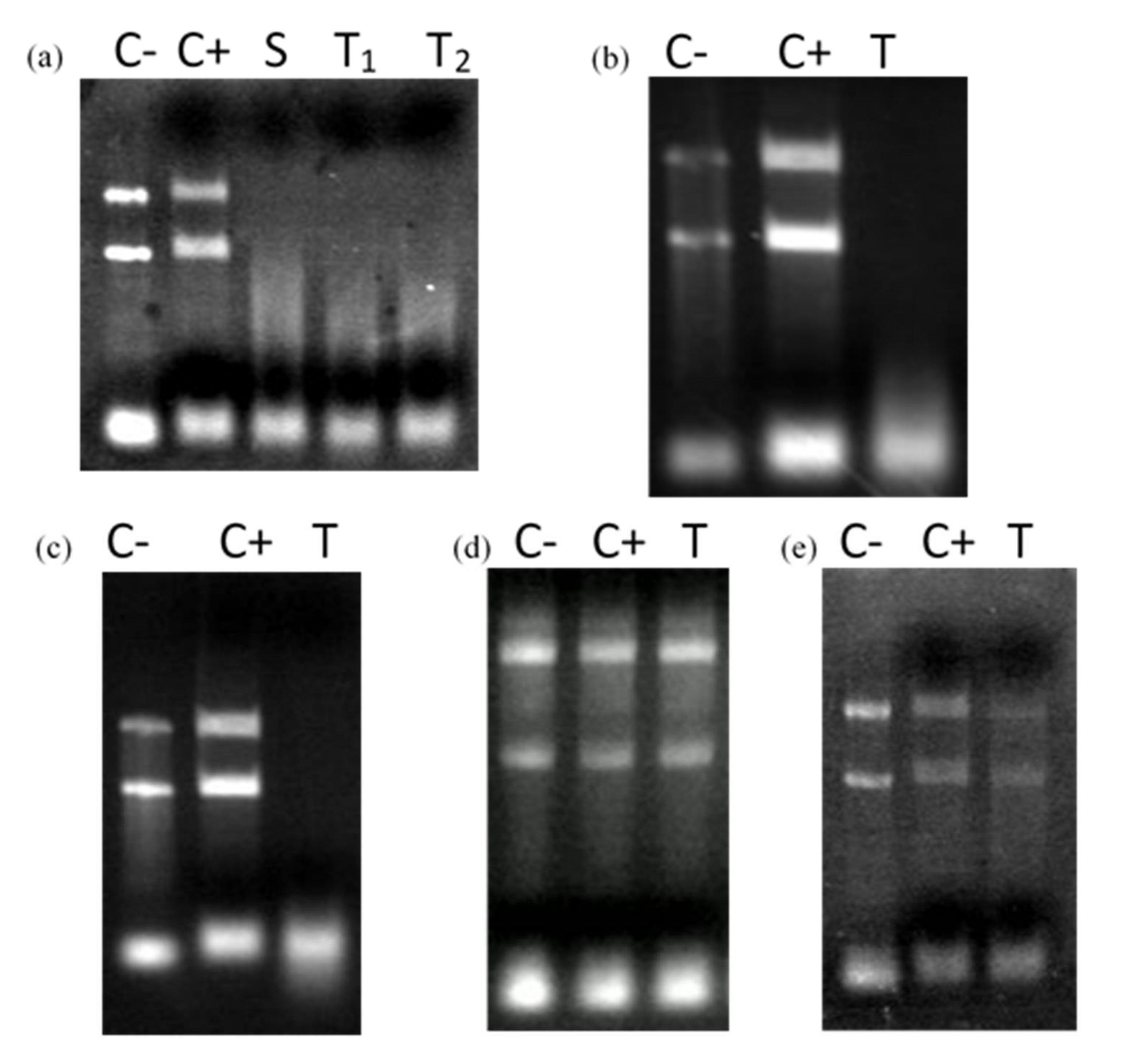 Microorganisms 10 00359 g005