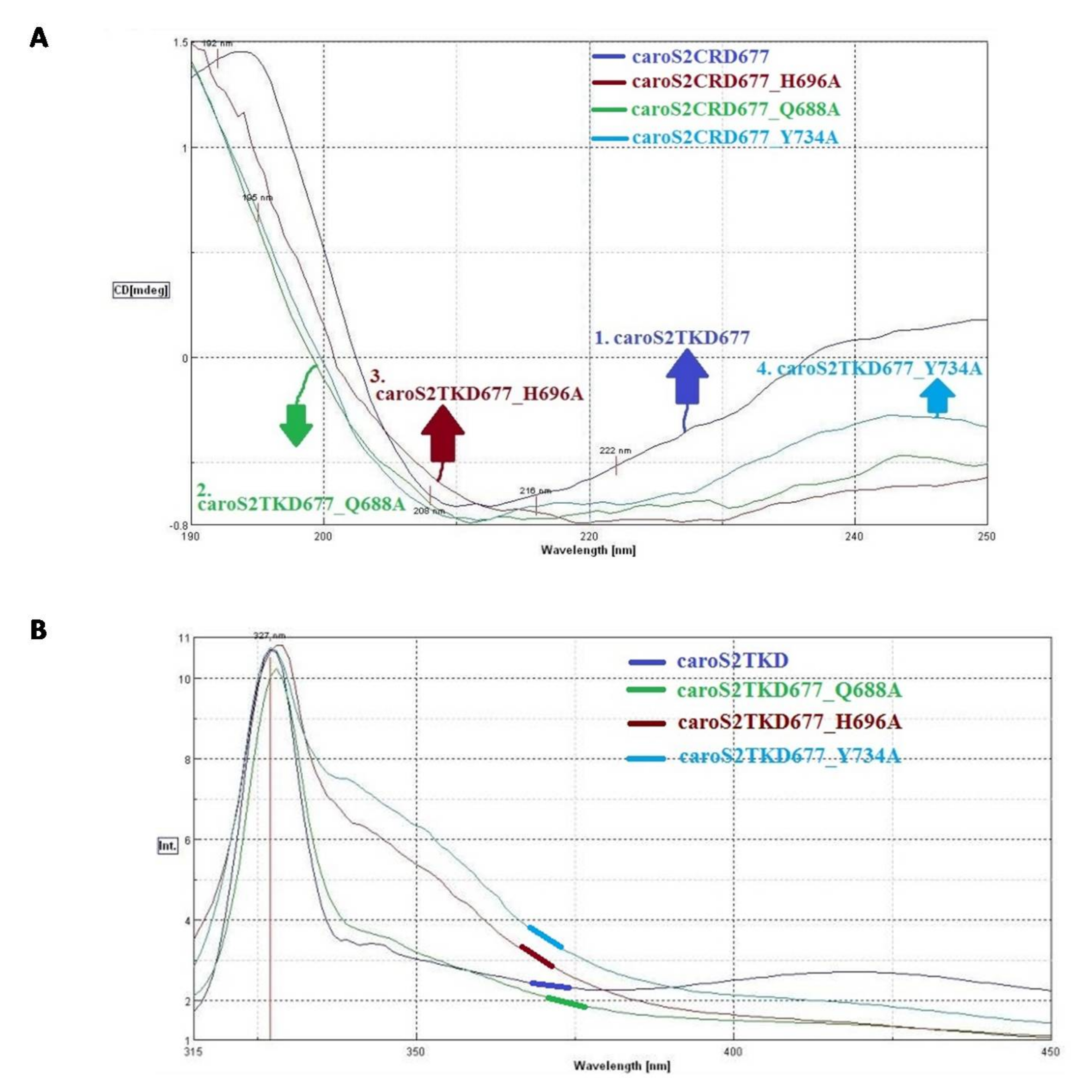 Microorganisms 10 00359 g007