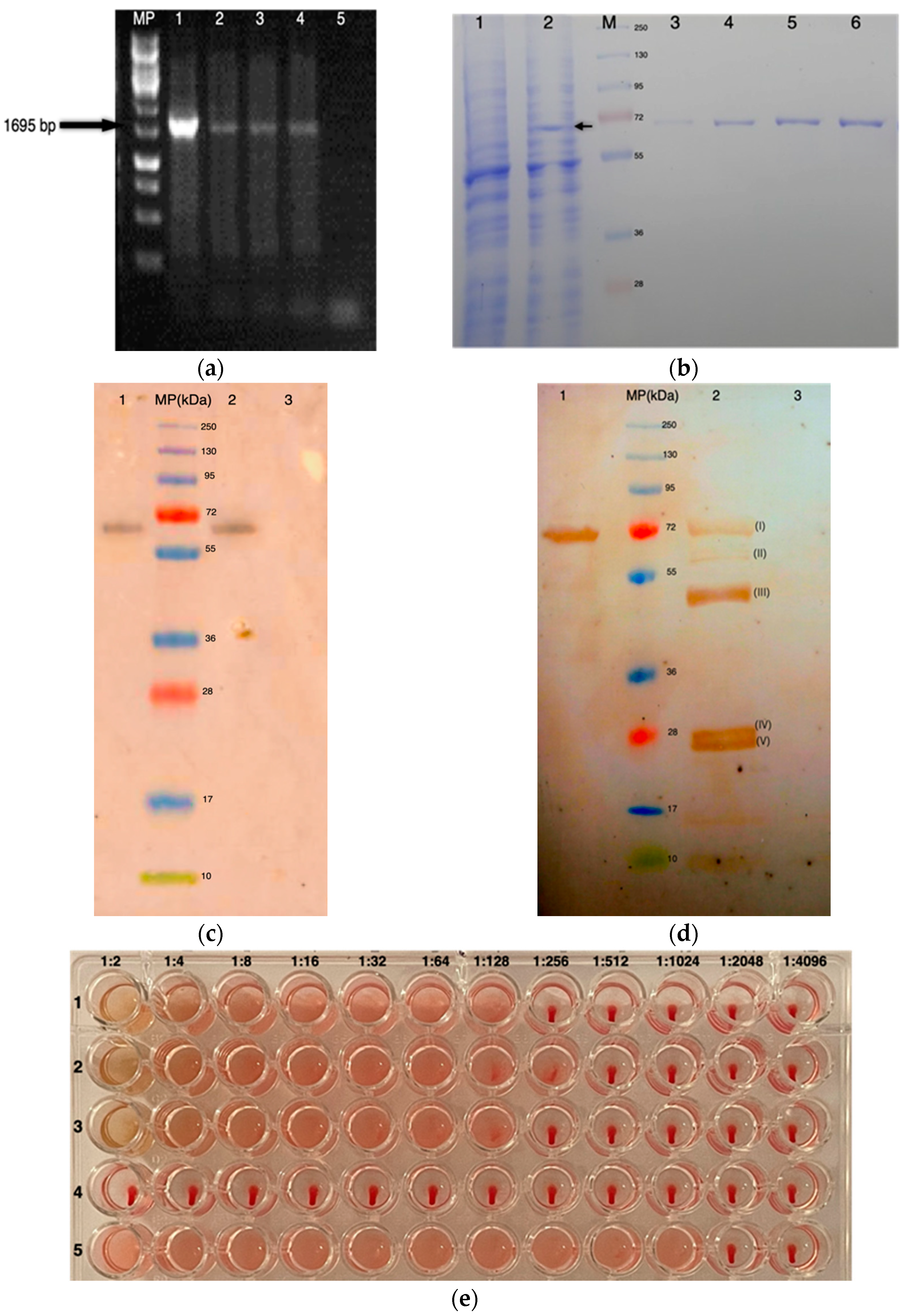 Microorganisms 10 00361 g001
