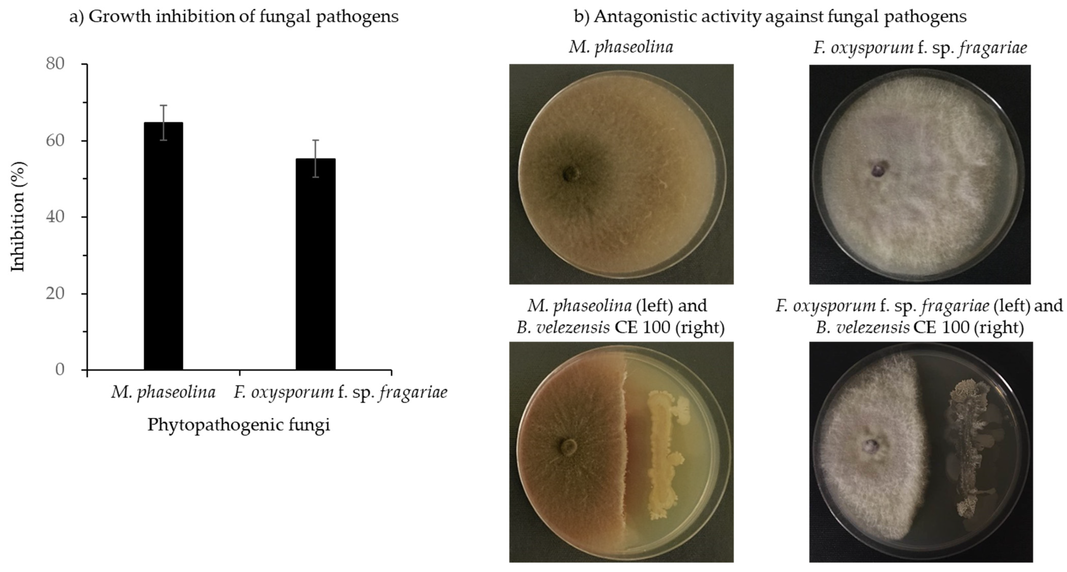 Microorganisms 10 00365 g003