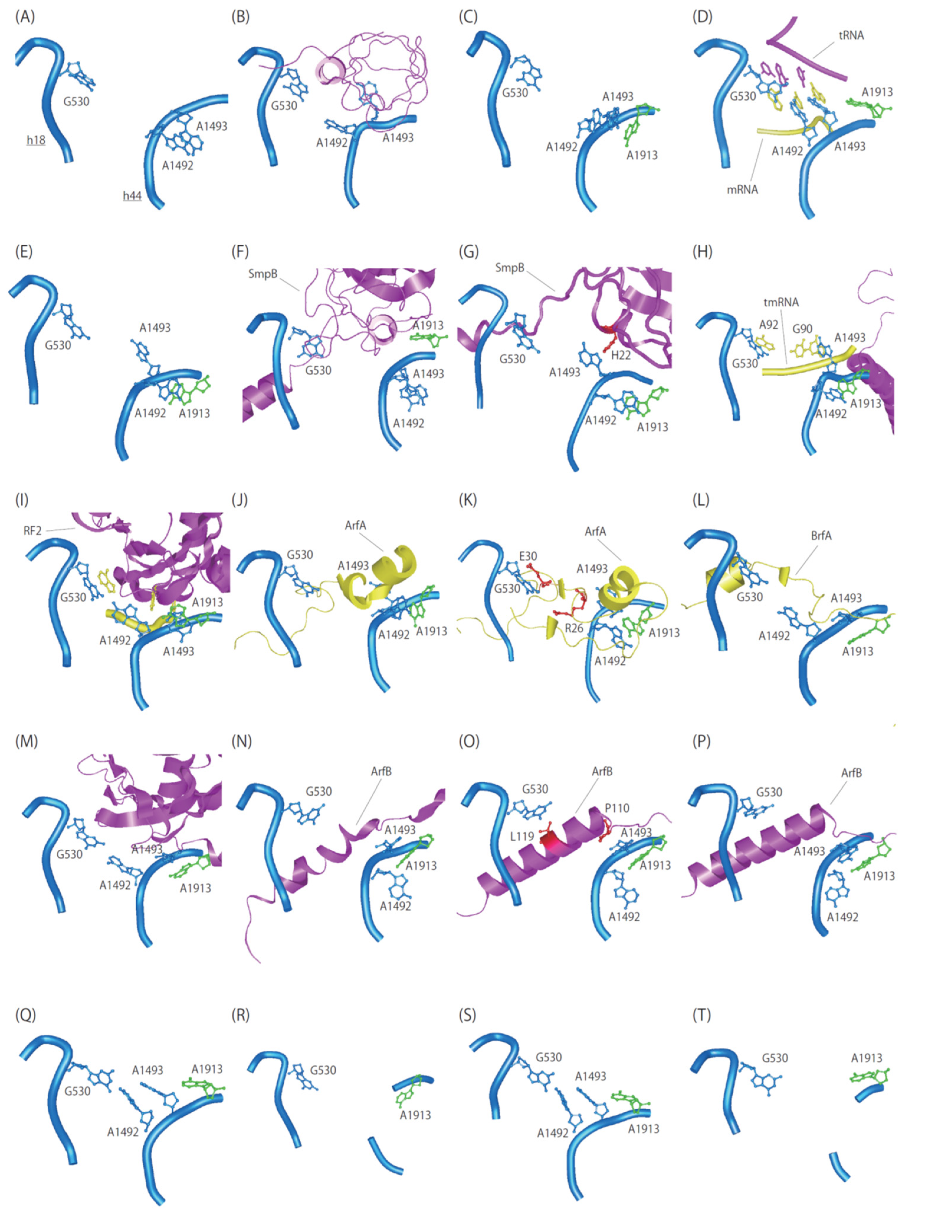 Microorganisms 10 00372 g002 Microorganisms 10 00372 g002