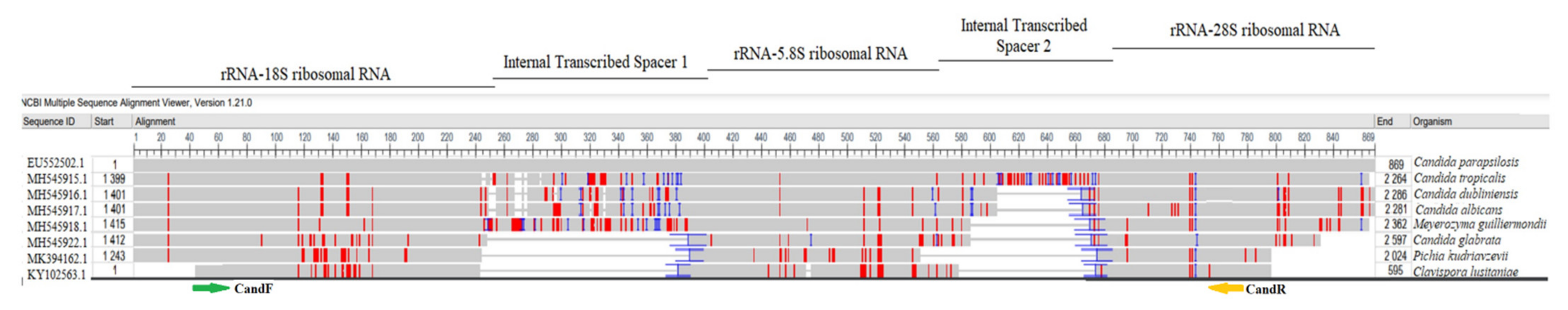 Microorganisms 10 00374 g001