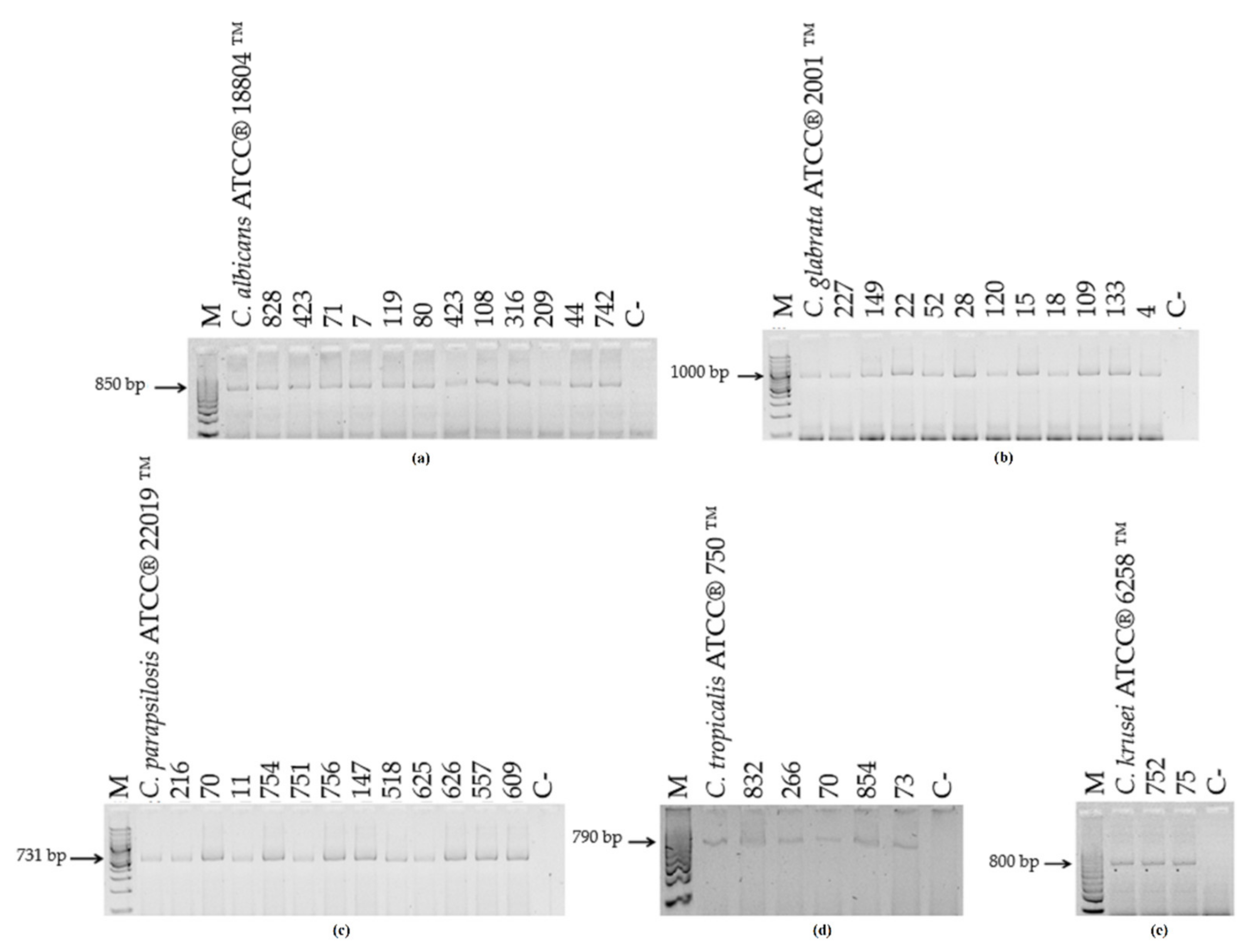 Microorganisms 10 00374 g003