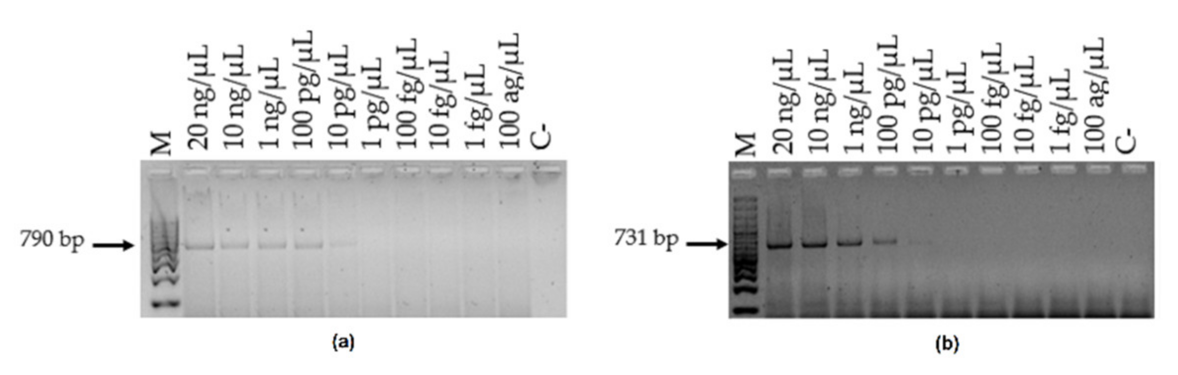 Microorganisms 10 00374 g005