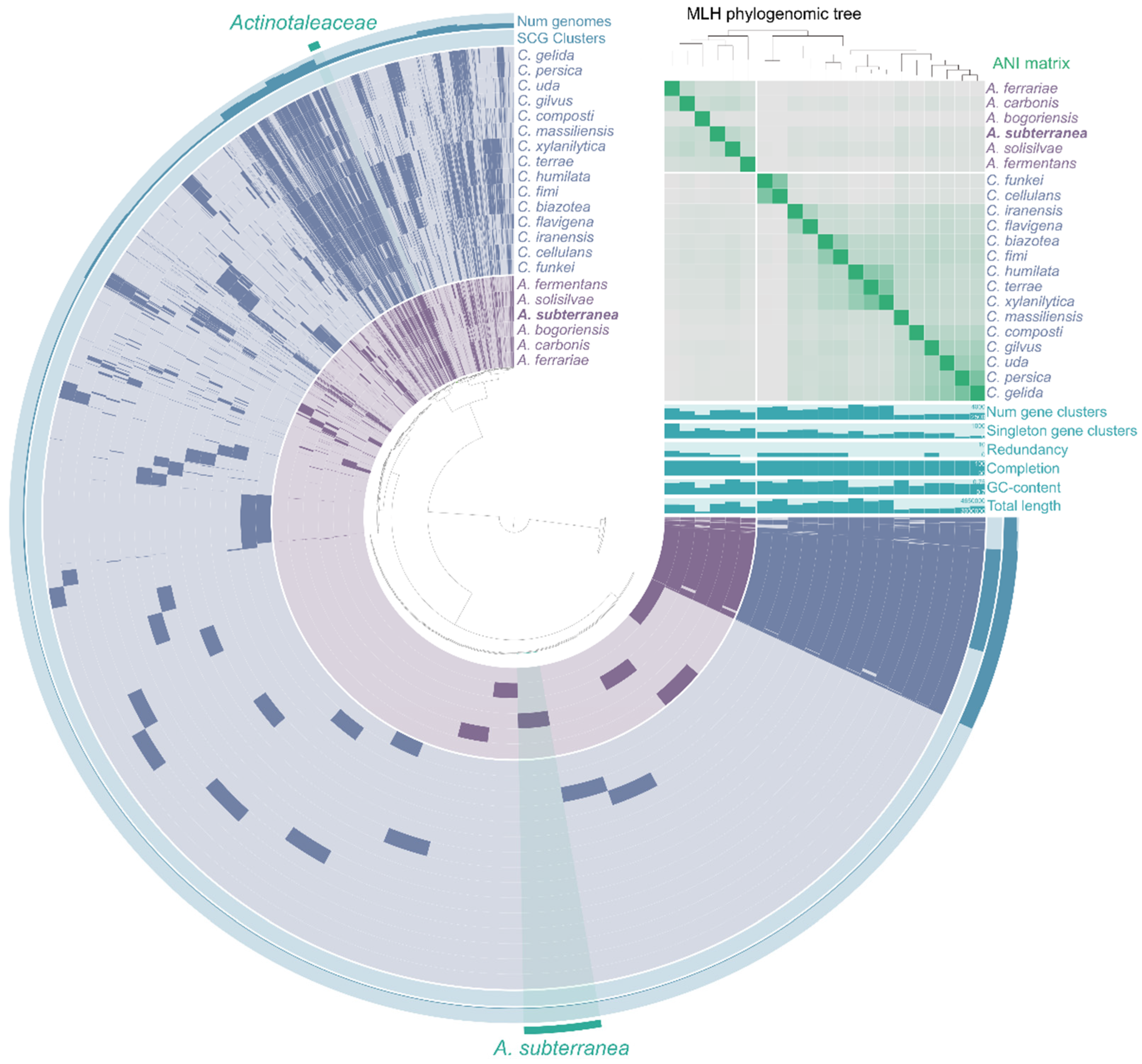 Microorganisms 10 00378 g004