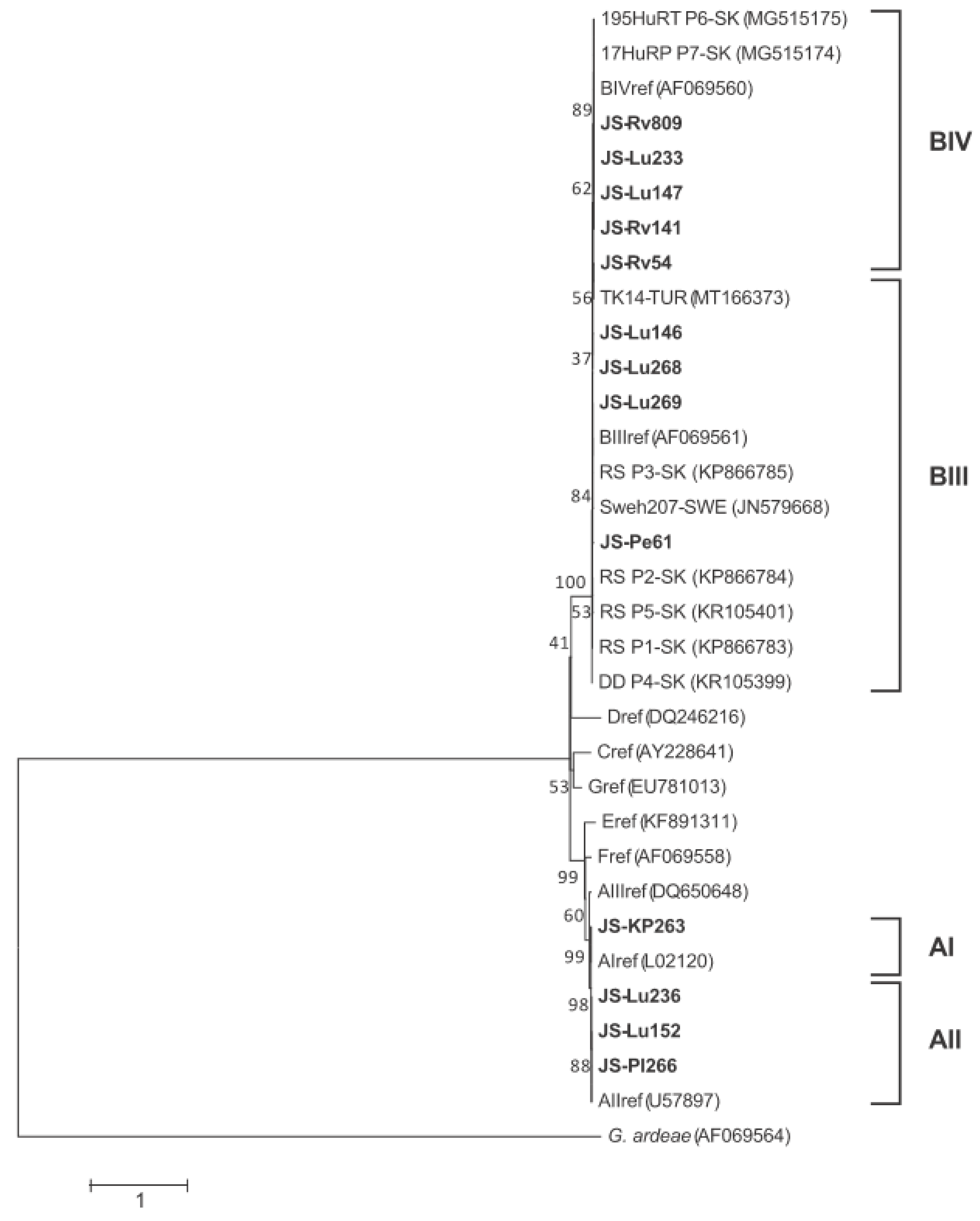 Microorganisms 10 00381 g001