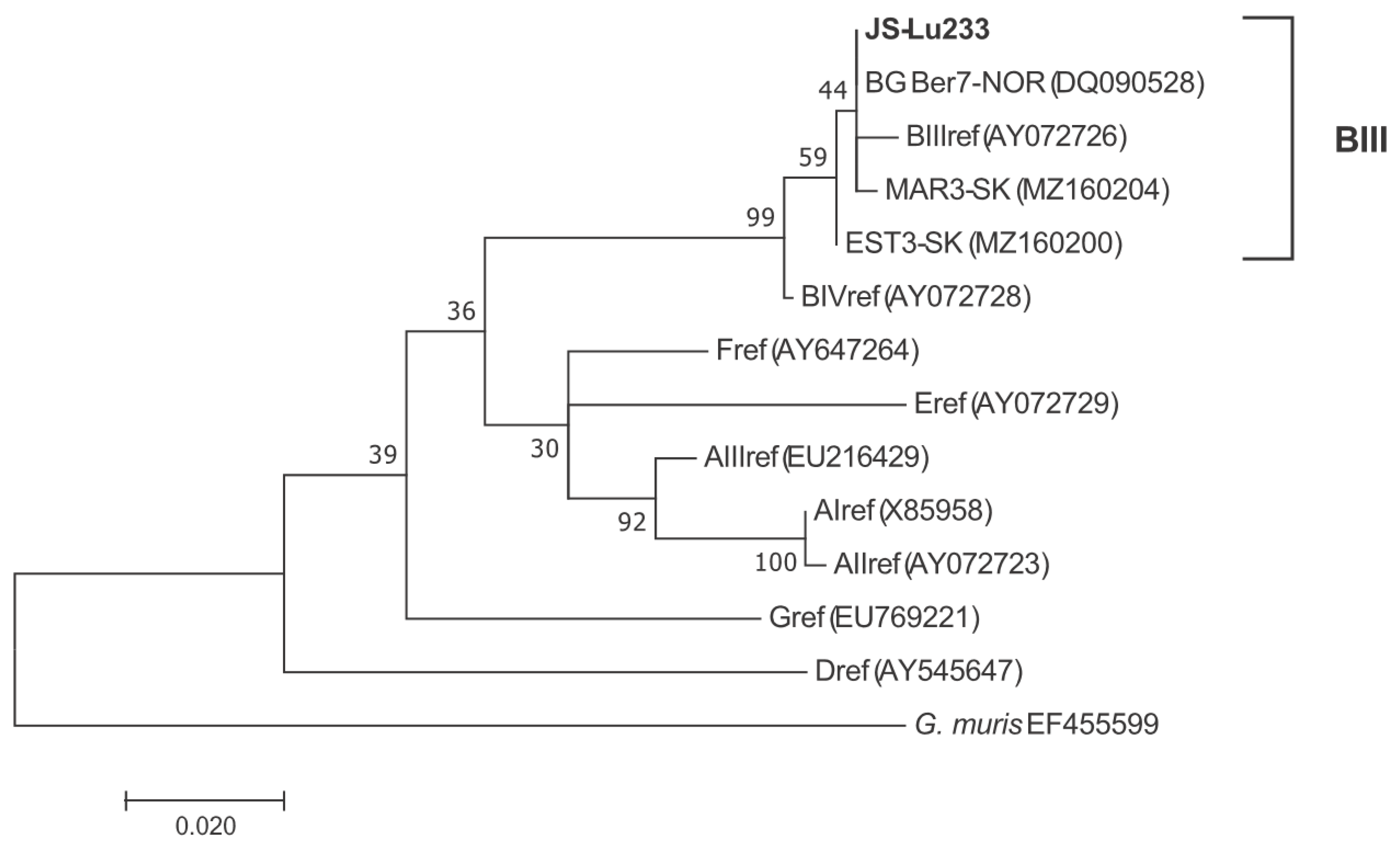 Microorganisms 10 00381 g002