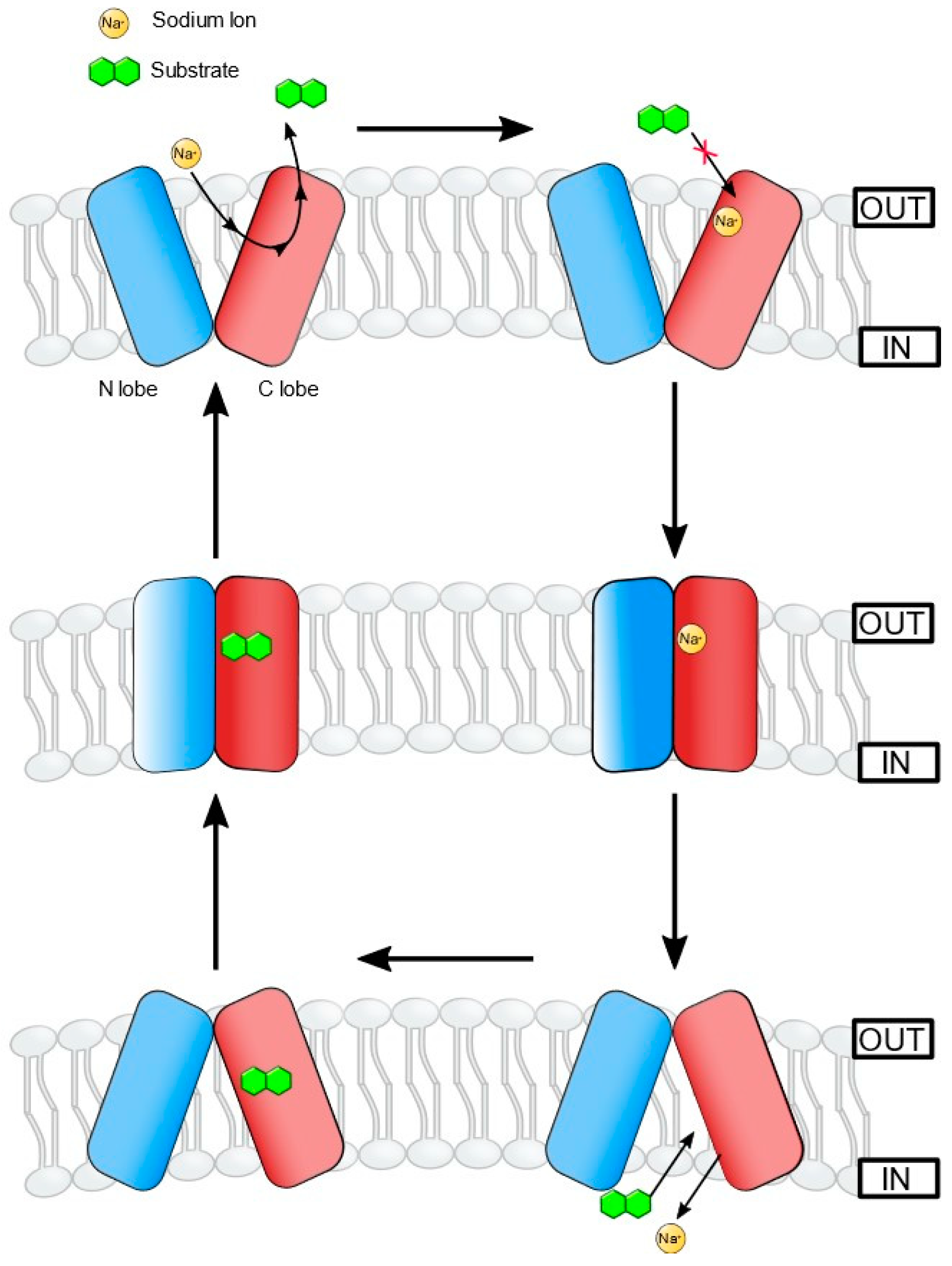 Microorganisms 10 00382 g002 Microorganisms 10 00382 g002