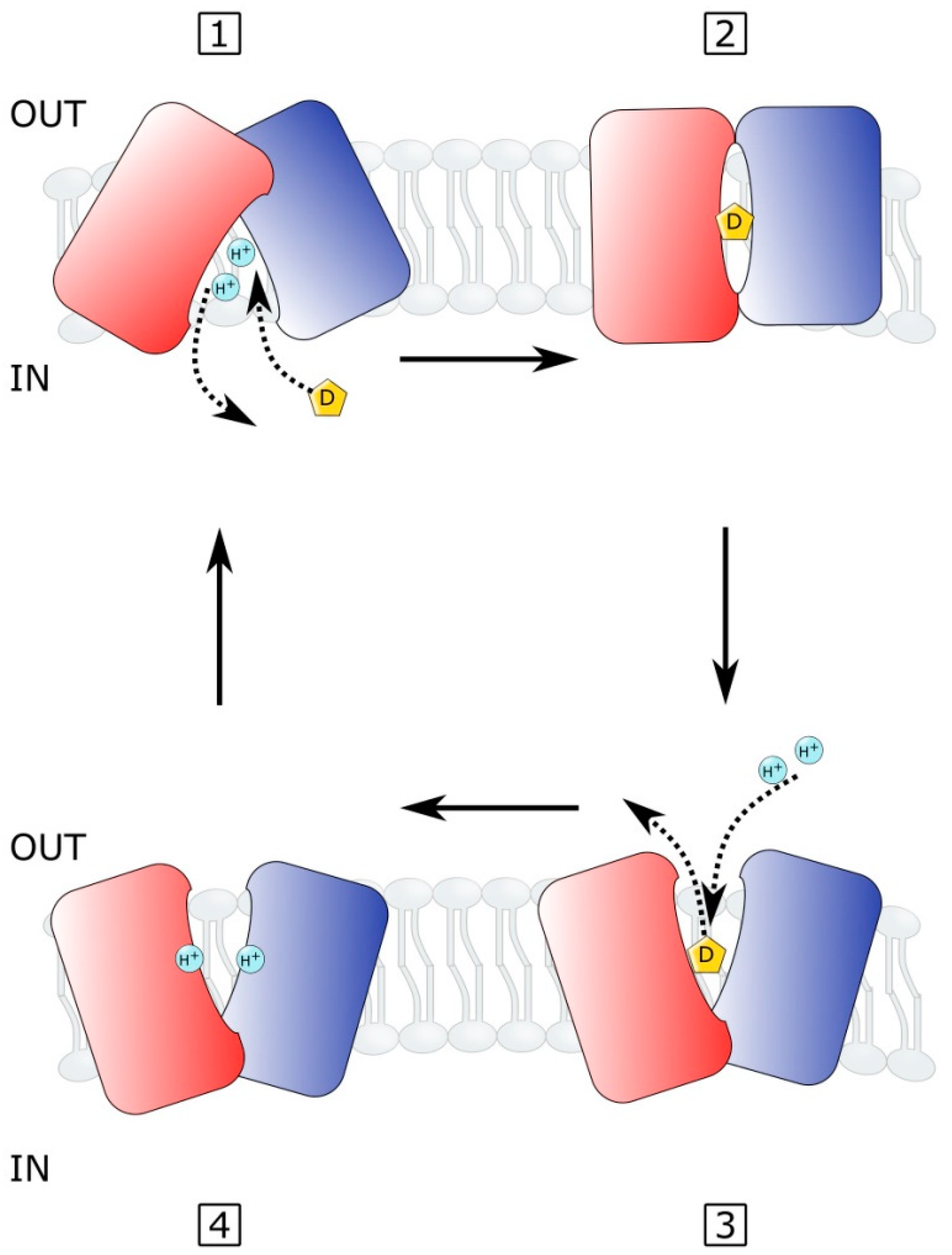Microorganisms 10 00382 g003 Microorganisms 10 00382 g003