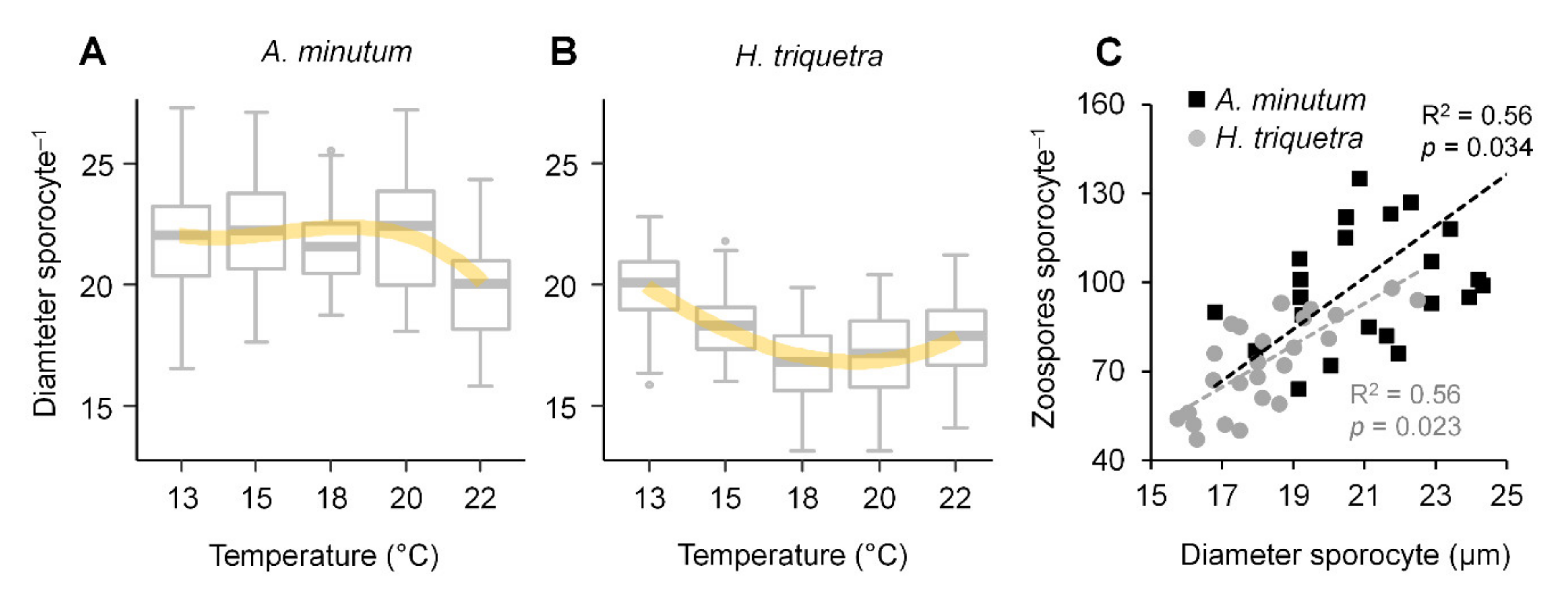 Microorganisms 10 00385 g003