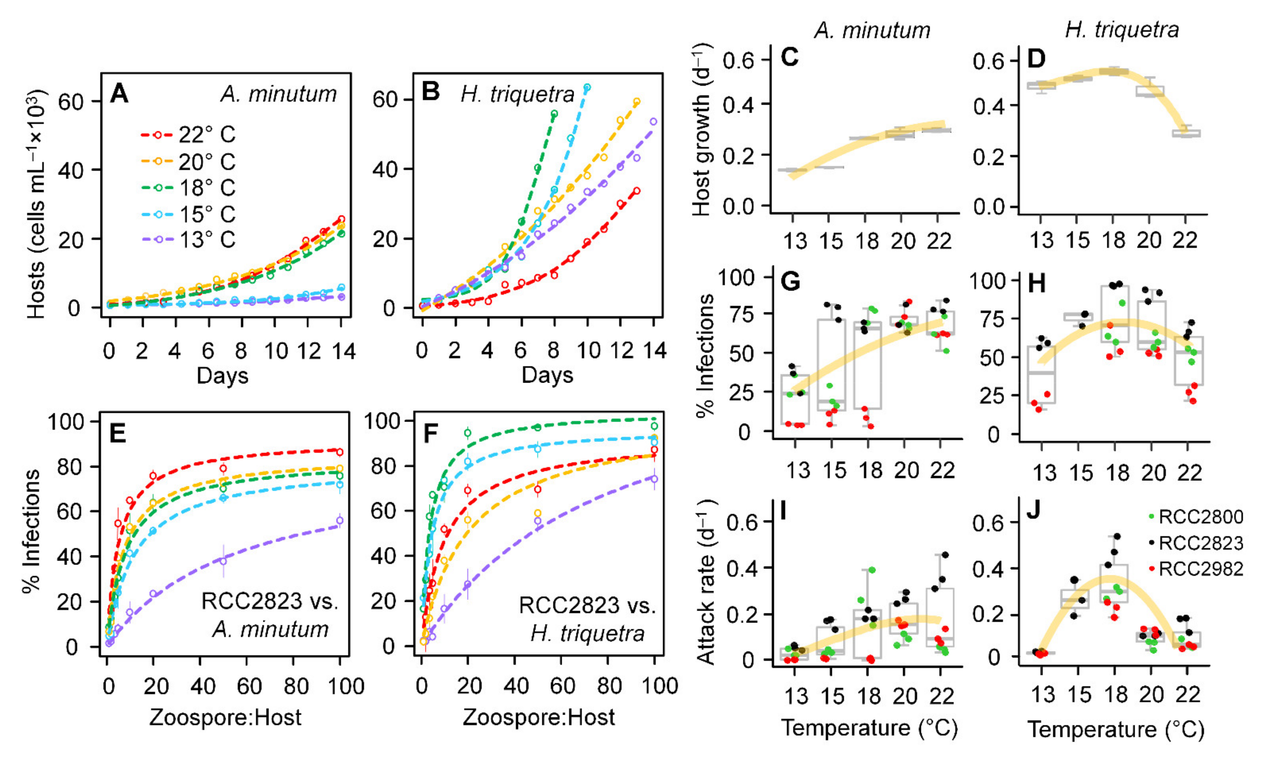 Microorganisms 10 00385 g004