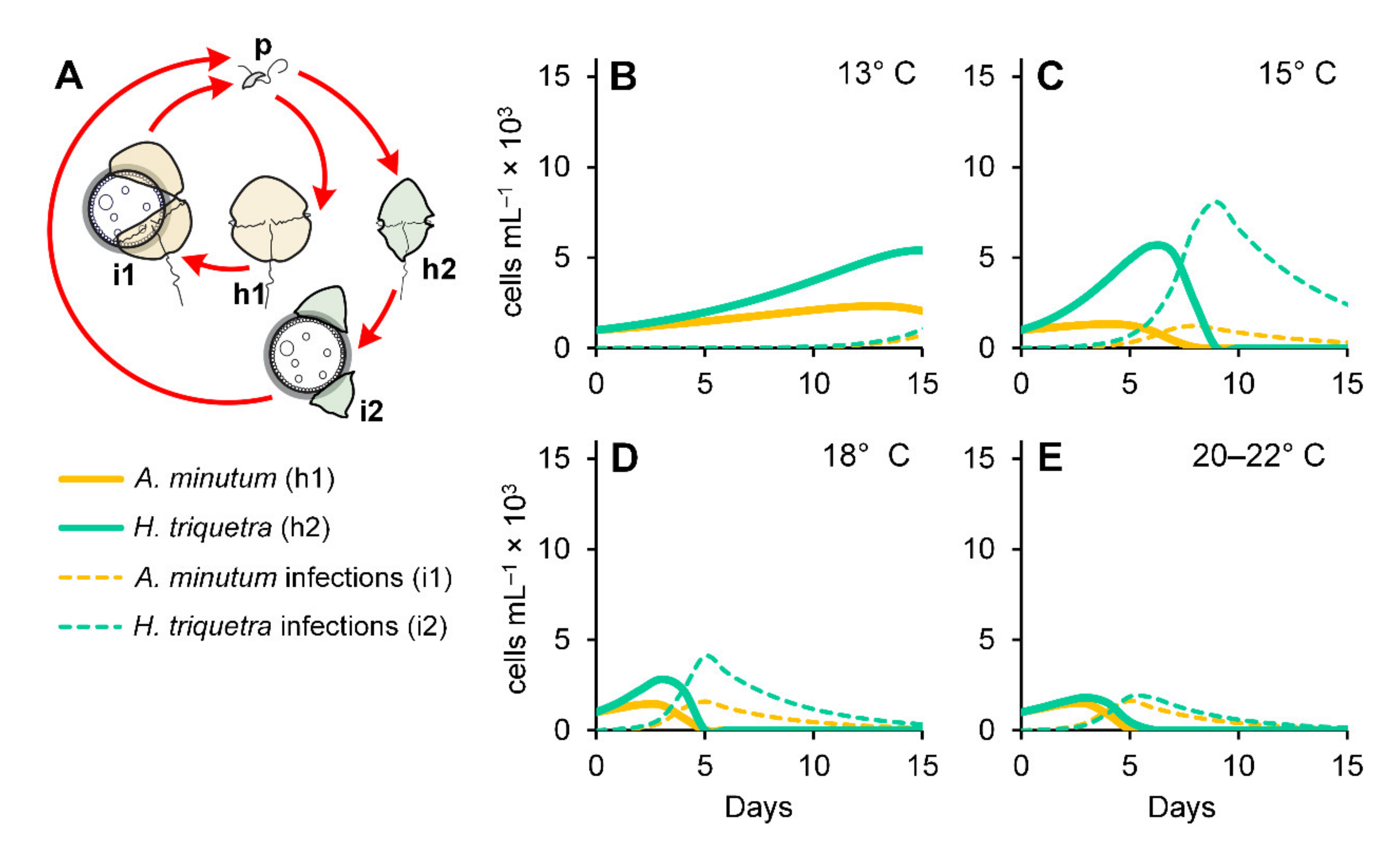 Microorganisms 10 00385 g005