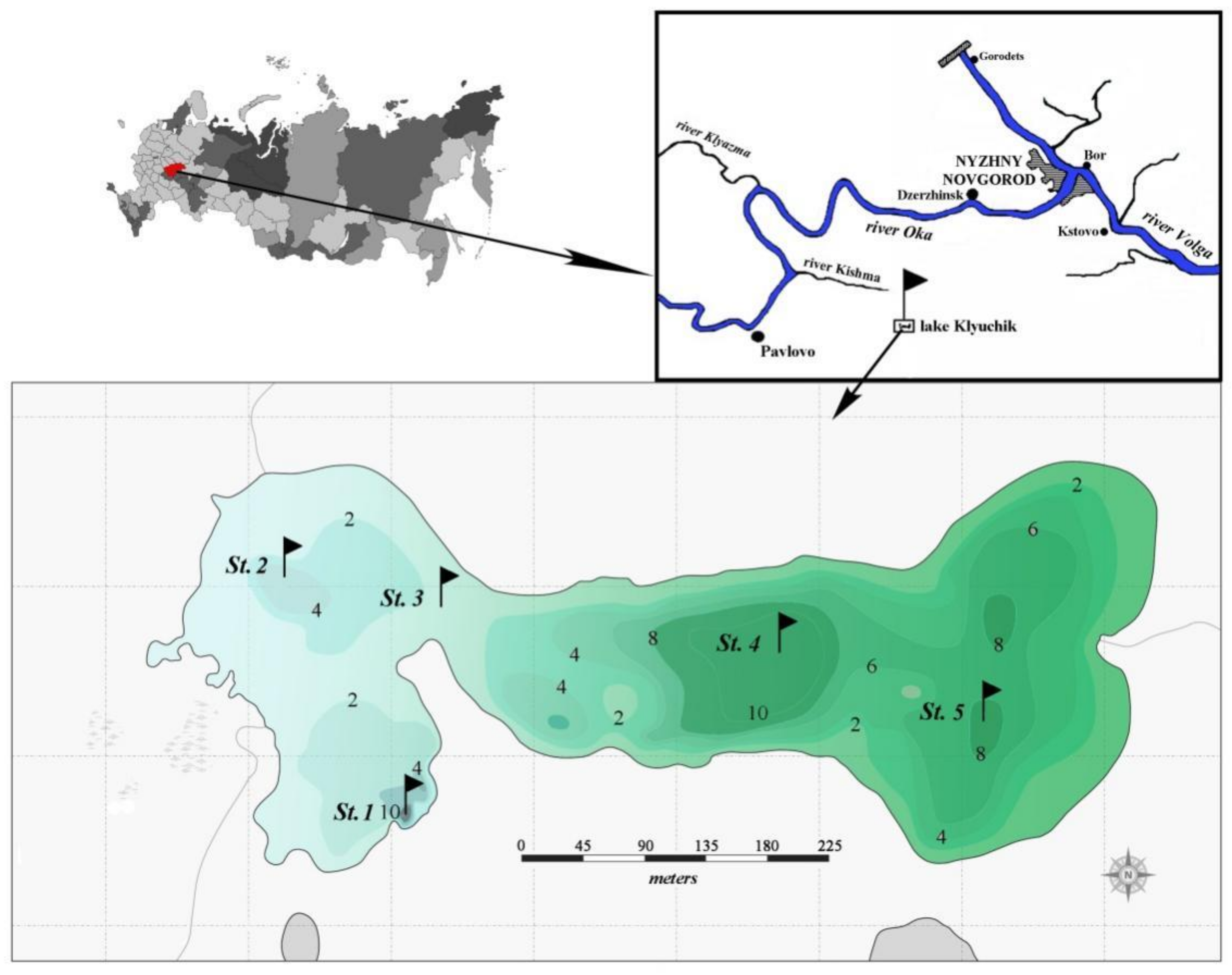 Microorganisms 10 00386 g001 Microorganisms 10 00386 g001