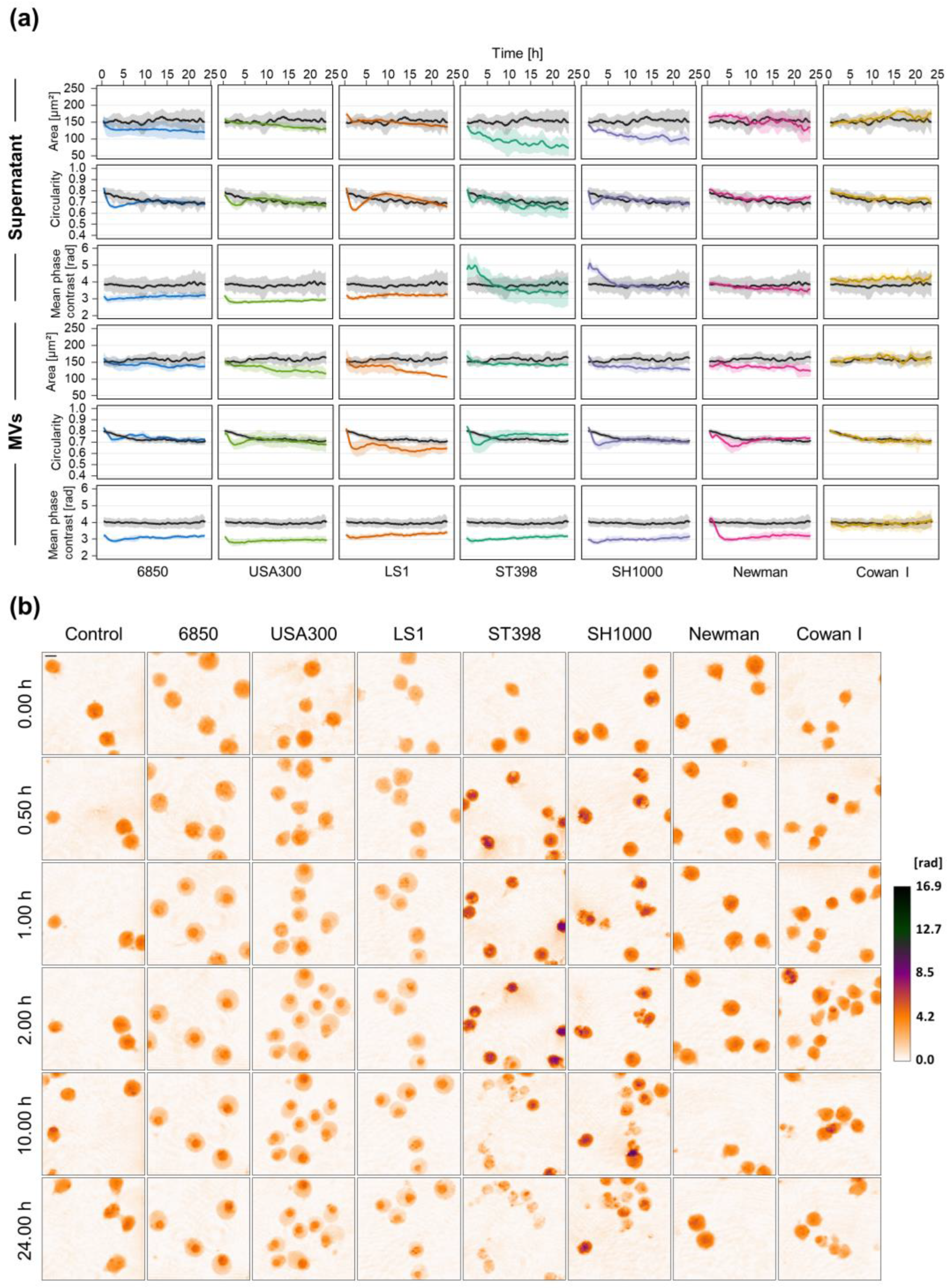 Microorganisms 10 00391 g001 Microorganisms 10 00391 g001