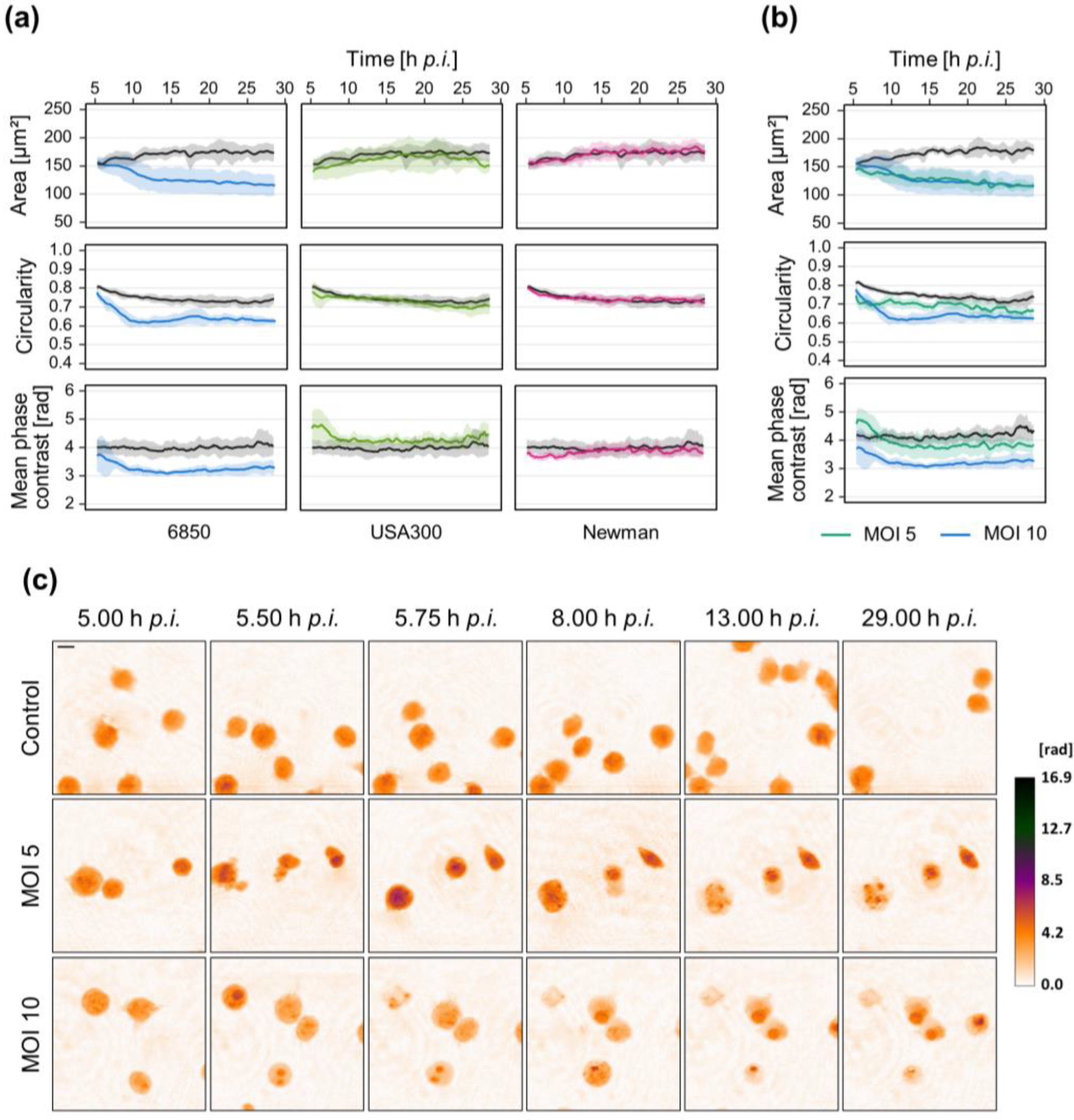 Microorganisms 10 00391 g003 Microorganisms 10 00391 g003
