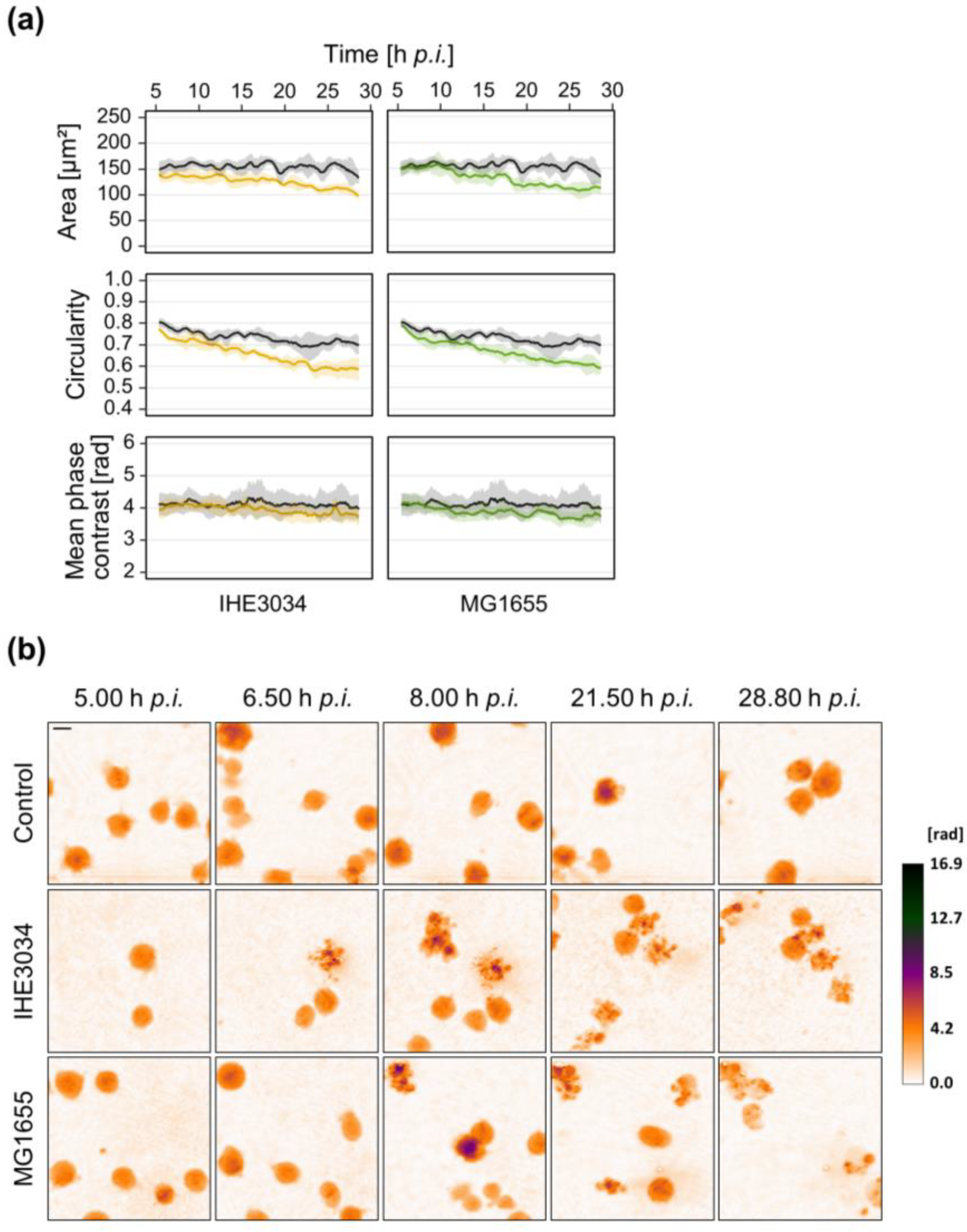 Microorganisms 10 00391 g006 Microorganisms 10 00391 g006