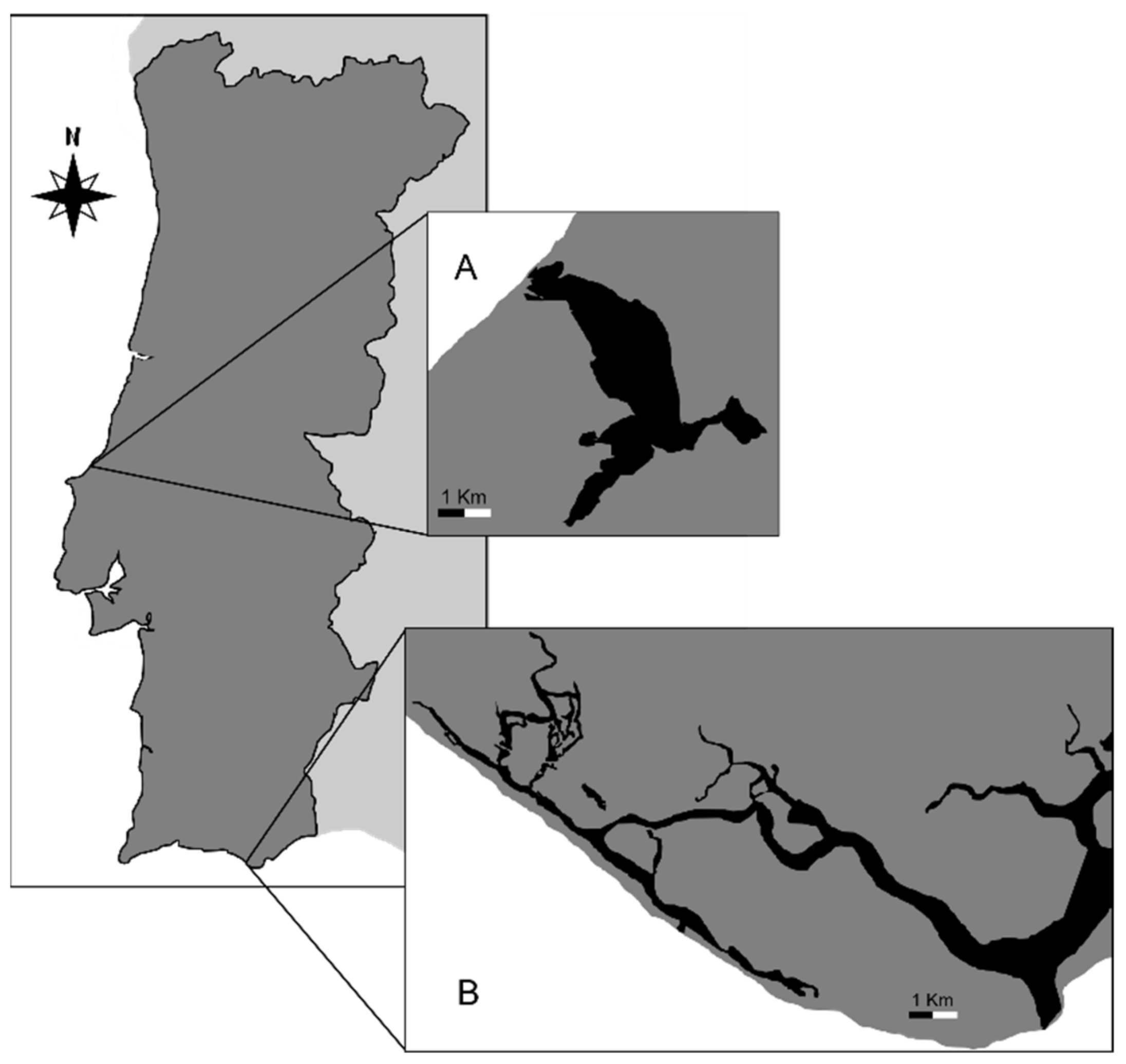 Microorganisms 10 00394 g001