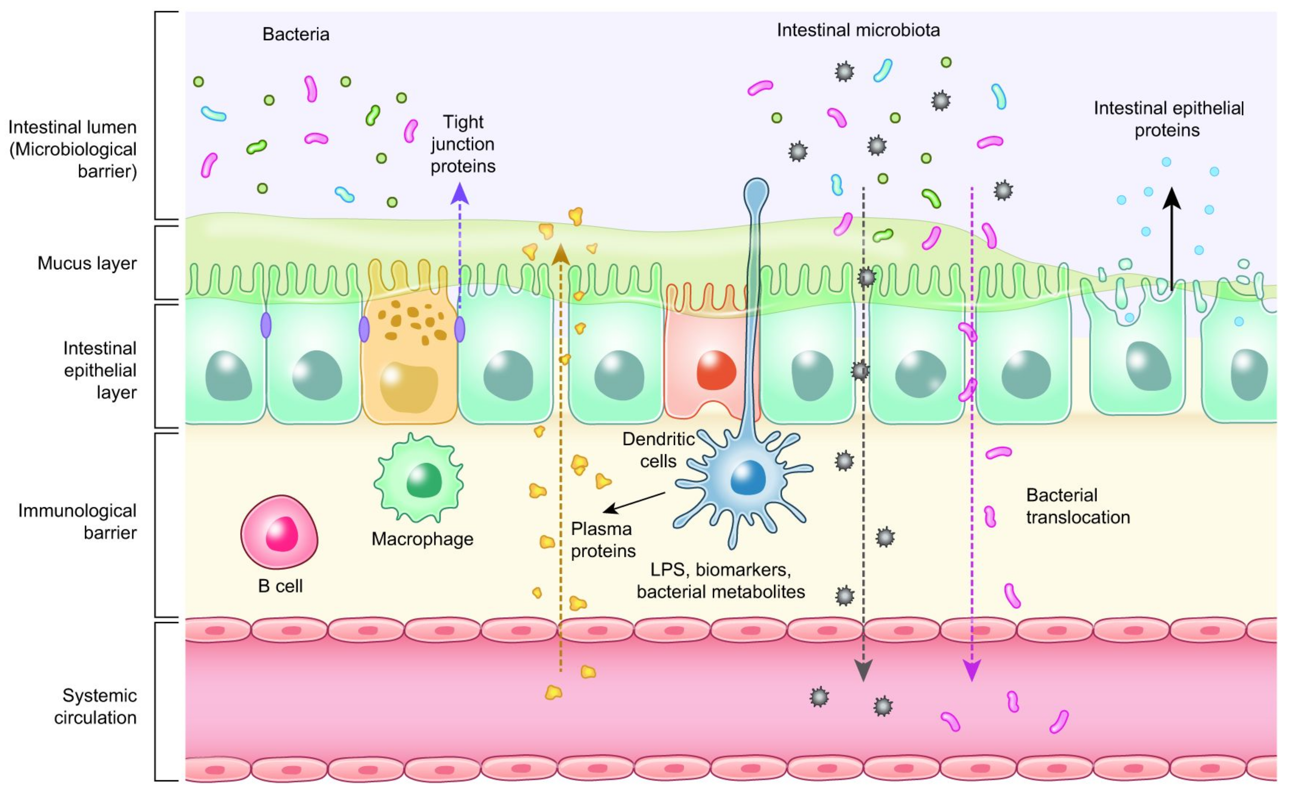 Microorganisms 10 00395 g003