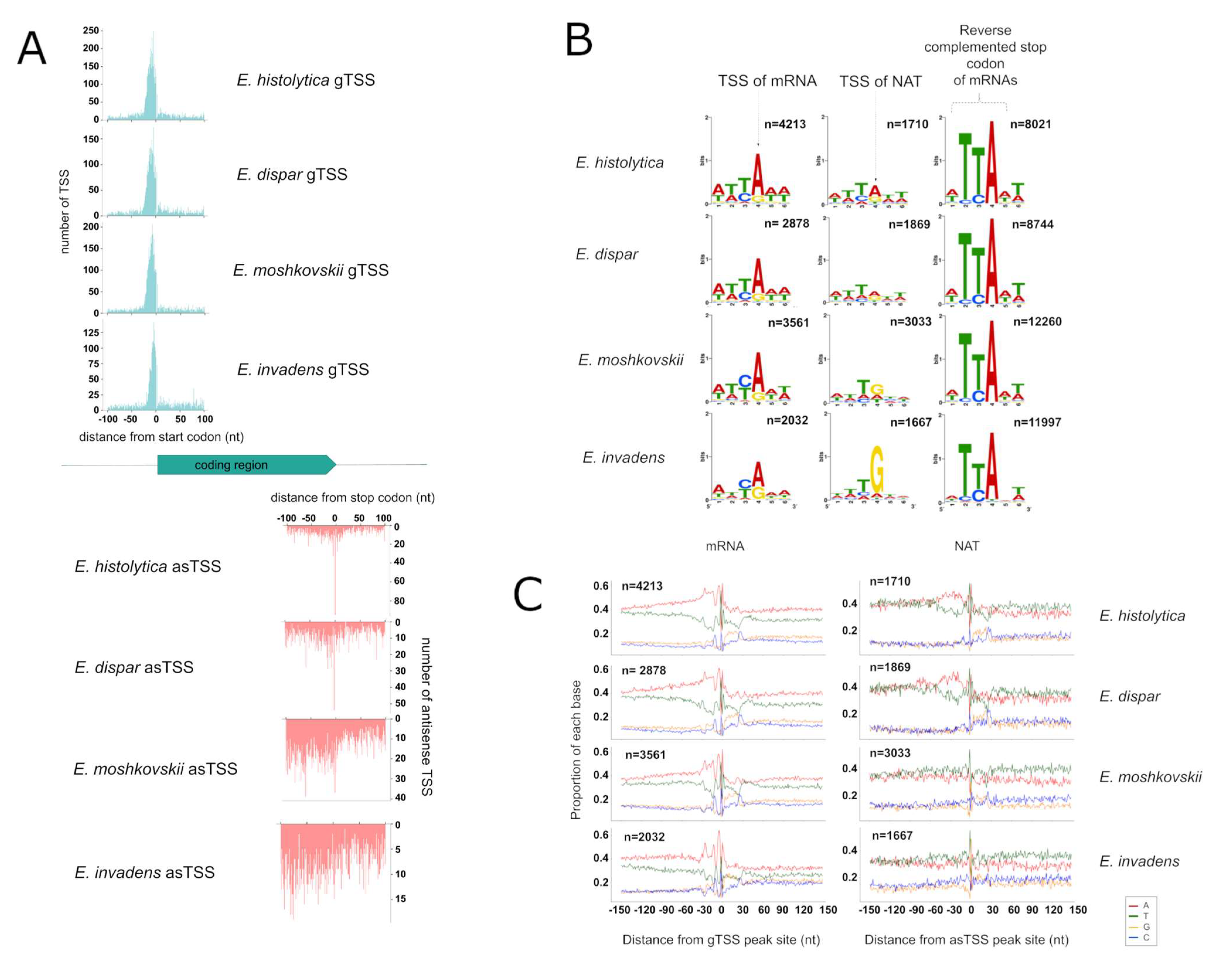 Microorganisms 10 00396 g002 Microorganisms 10 00396 g002