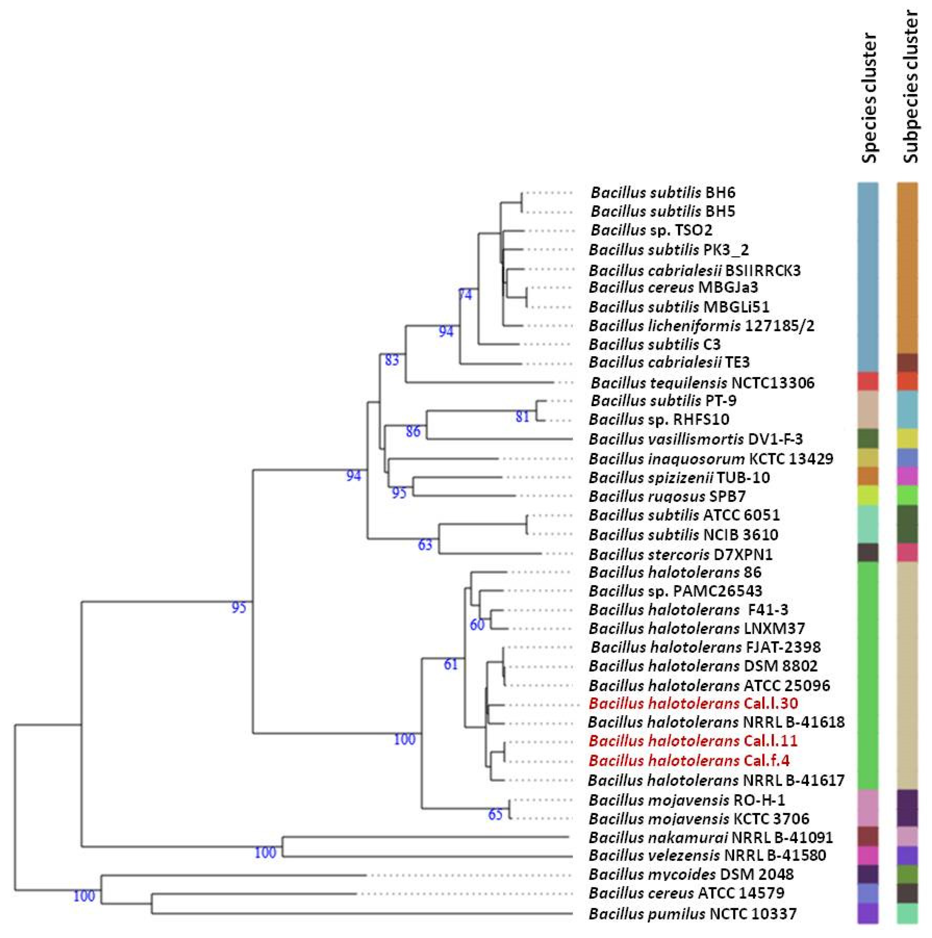 Microorganisms 10 00399 g003 550