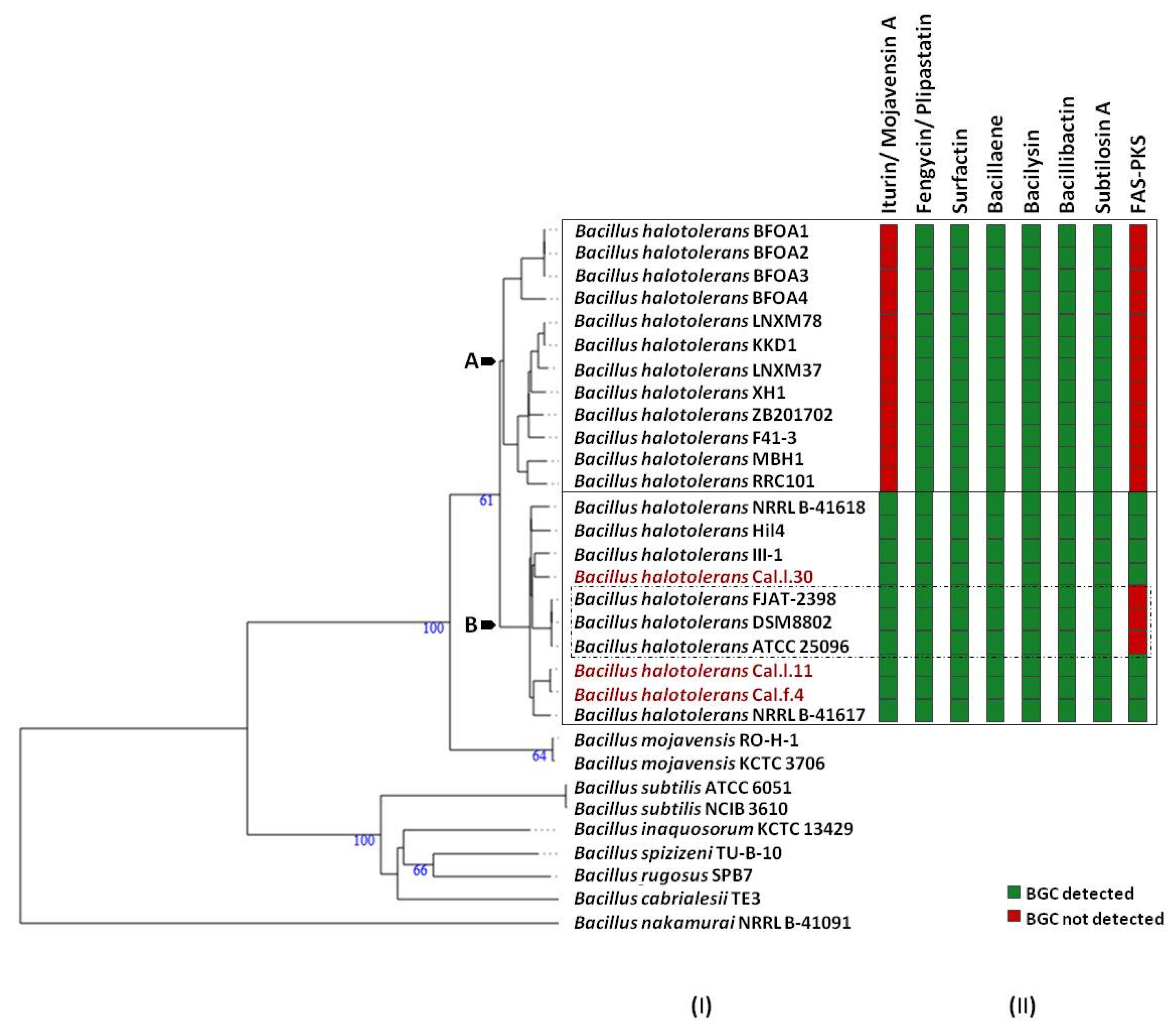 Microorganisms 10 00399 g006 550