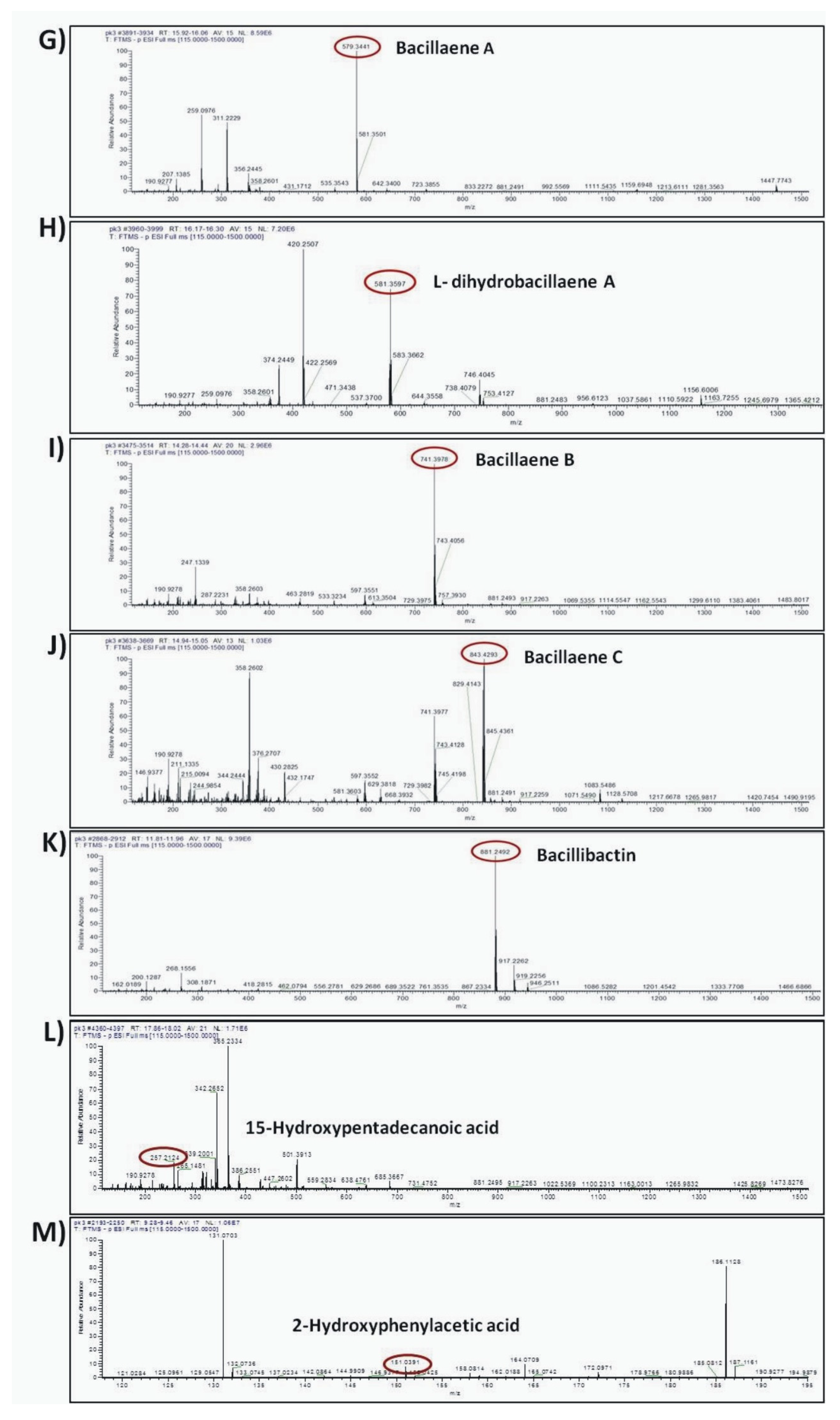 Microorganisms 10 00399 g008b 550