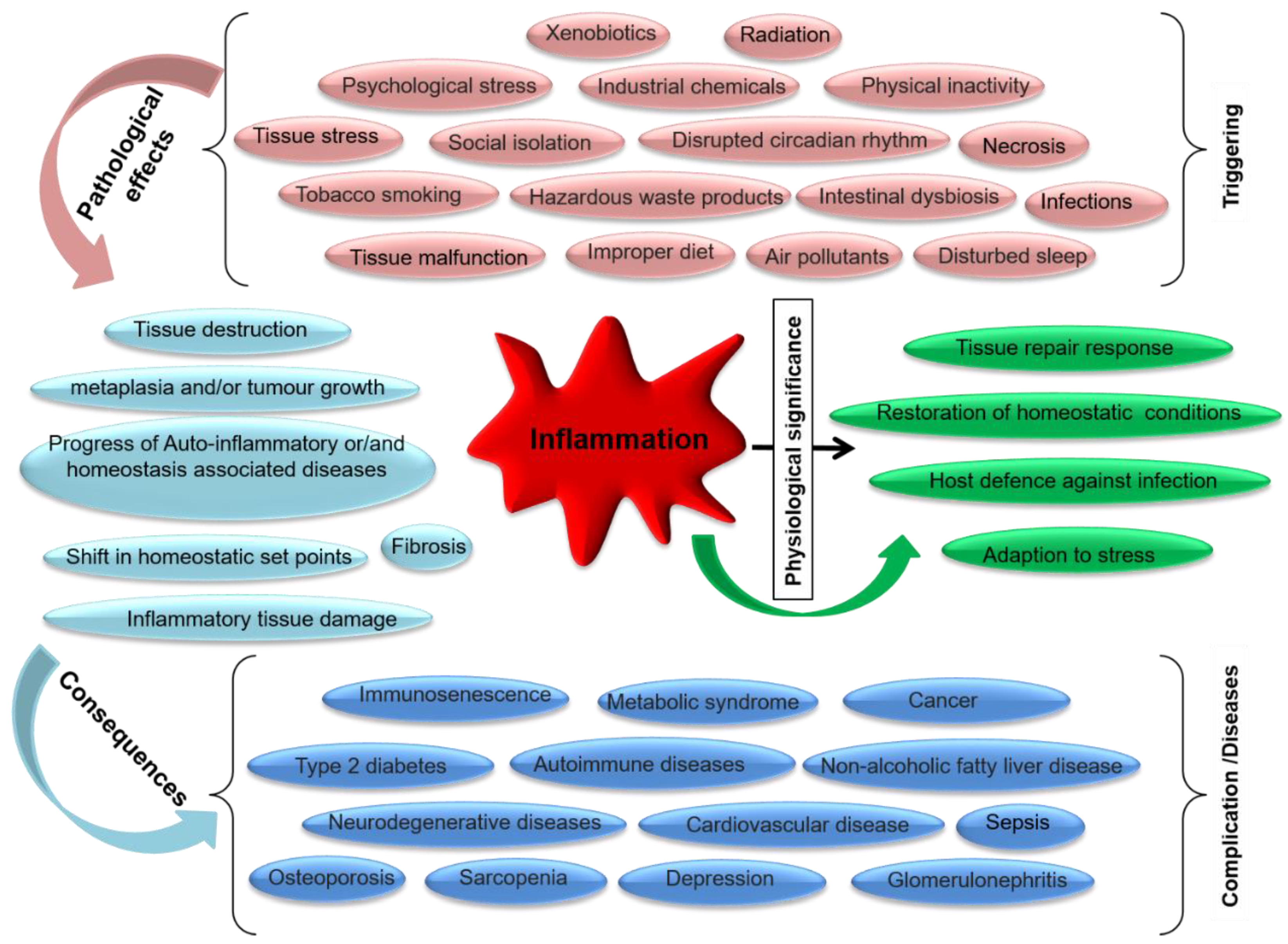 Microorganisms 10 00405 g005 Microorganisms 10 00405 g005