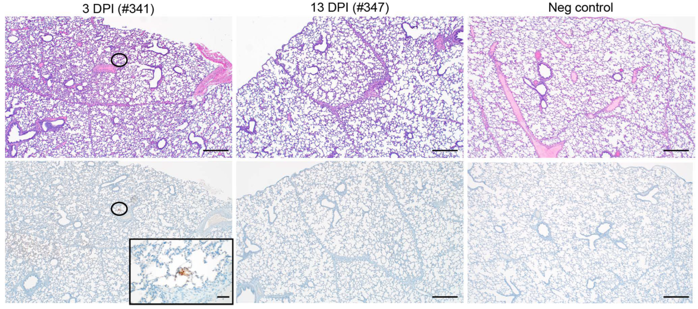 Microorganisms 10 00407 g002 550