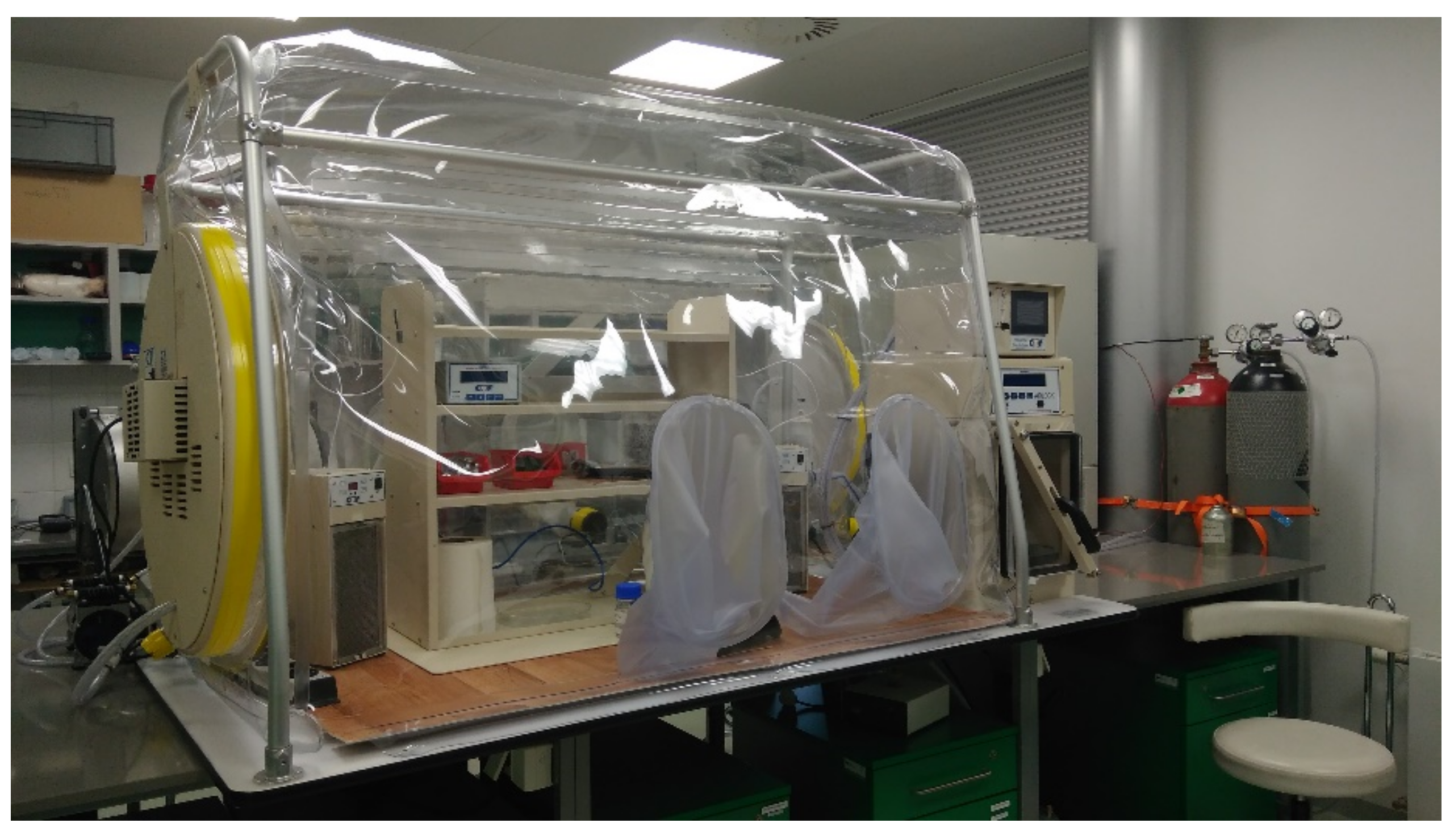 Microorganisms 10 00412 g003