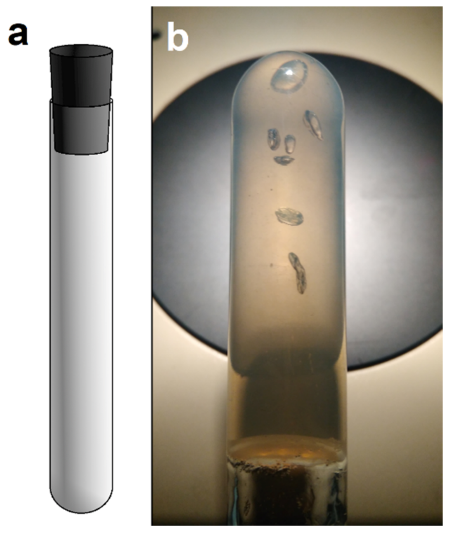 Microorganisms 10 00412 g007