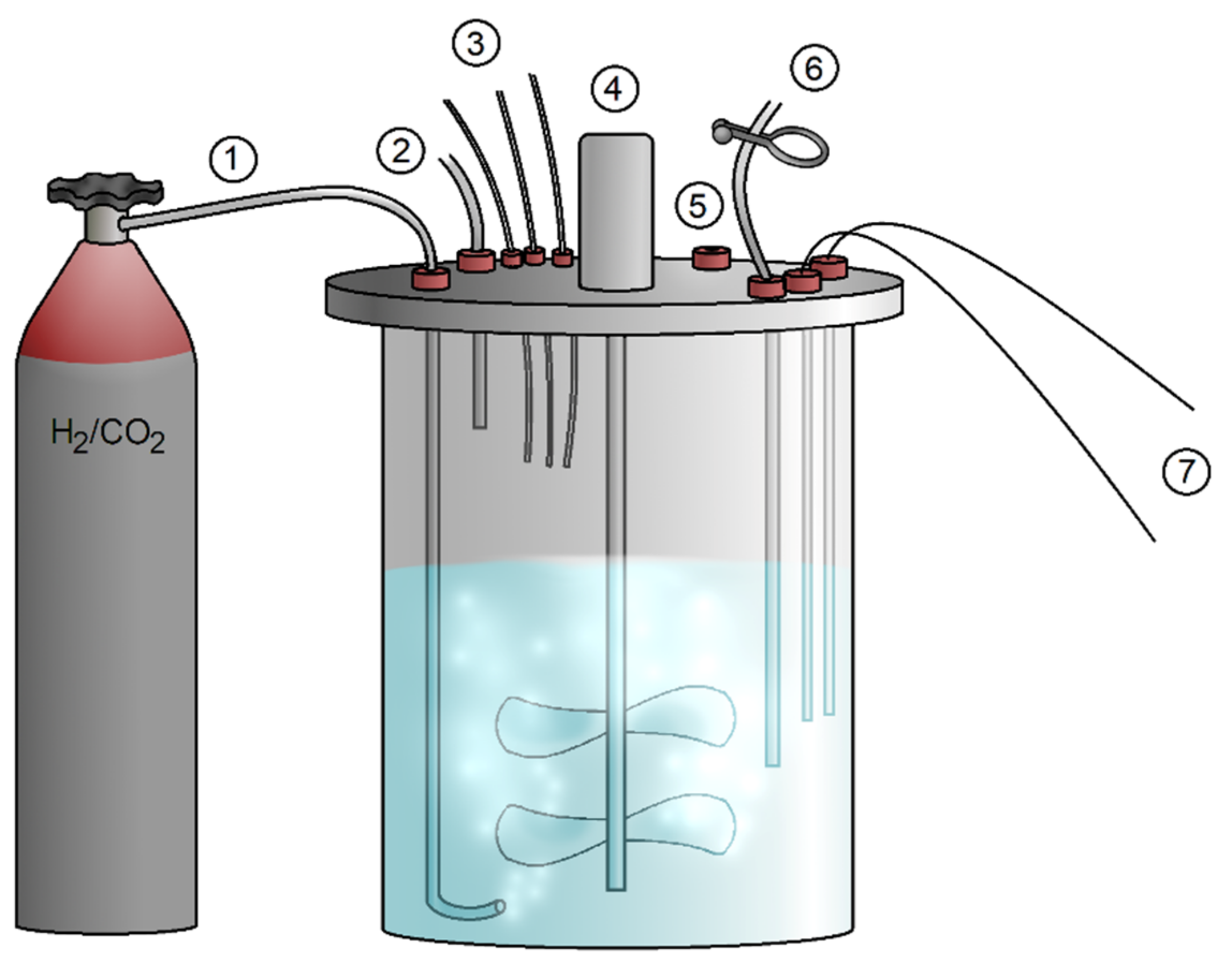 Microorganisms 10 00412 g010