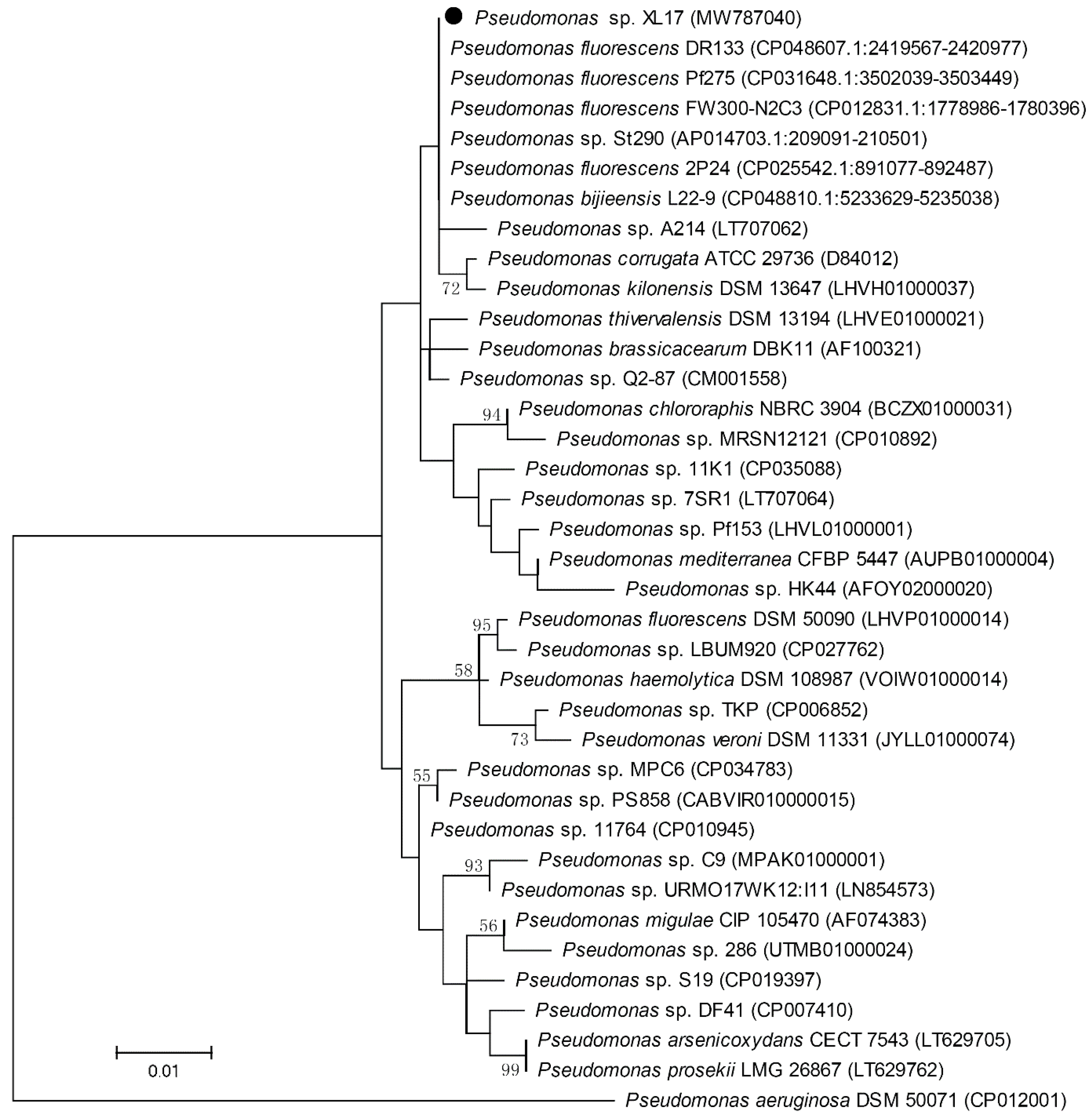 Microorganisms 10 00425 g005