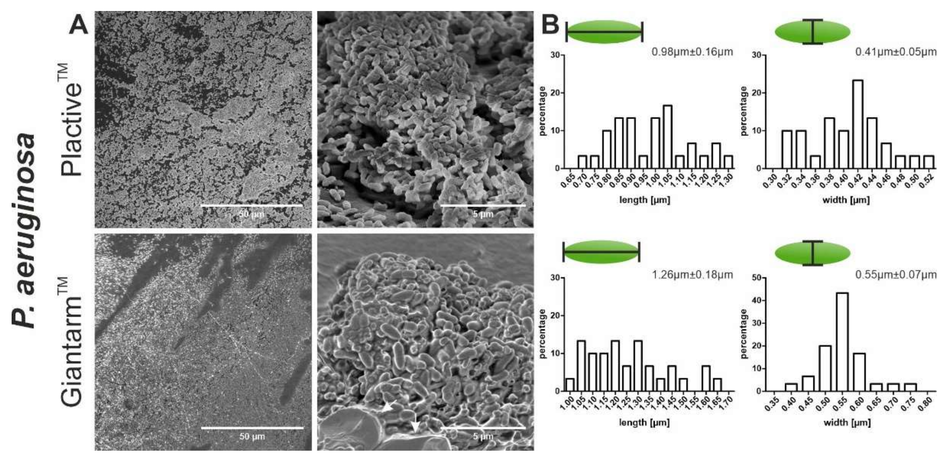 Microorganisms 10 00439 g002 Microorganisms 10 00439 g002
