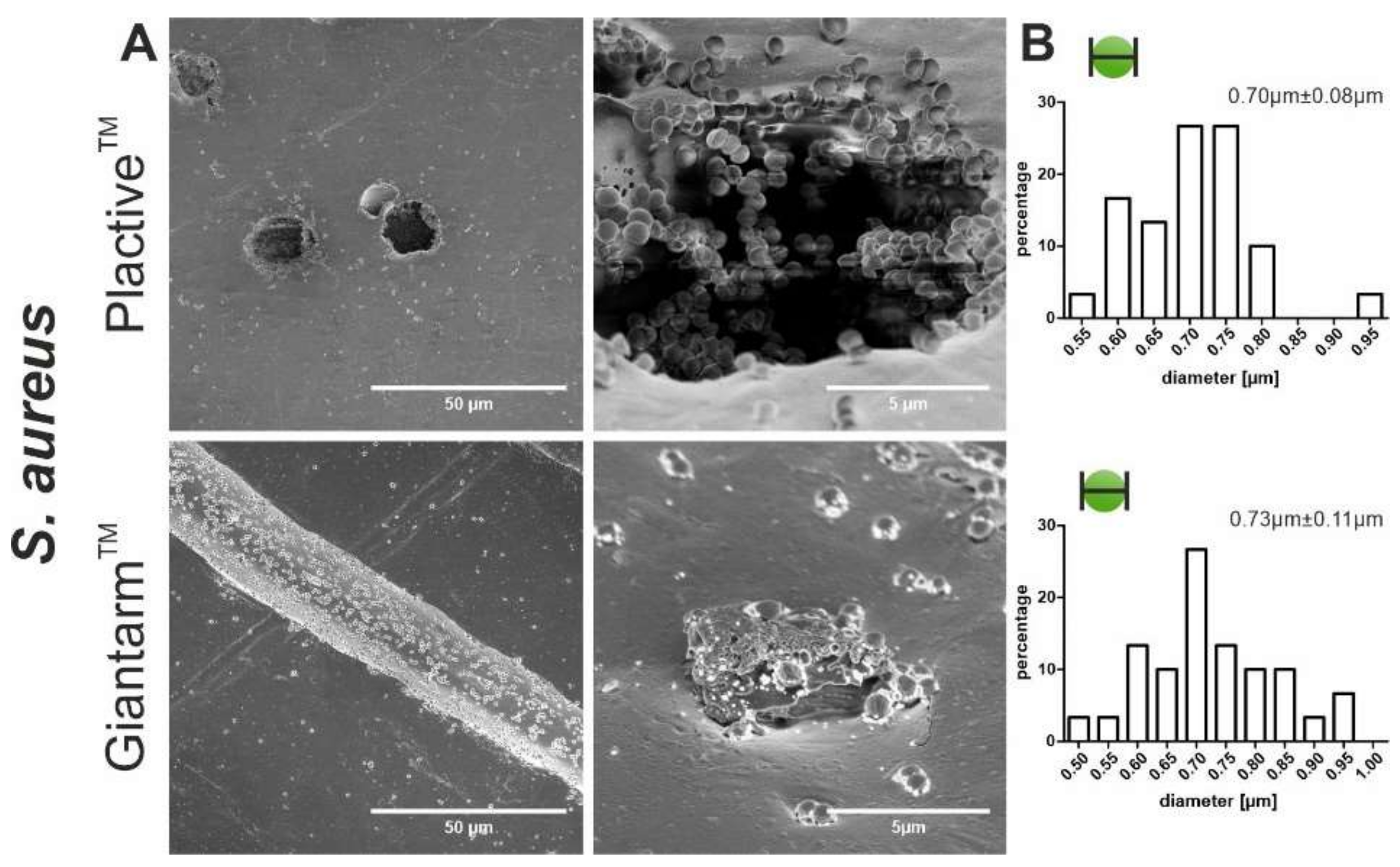 Microorganisms 10 00439 g003 Microorganisms 10 00439 g003