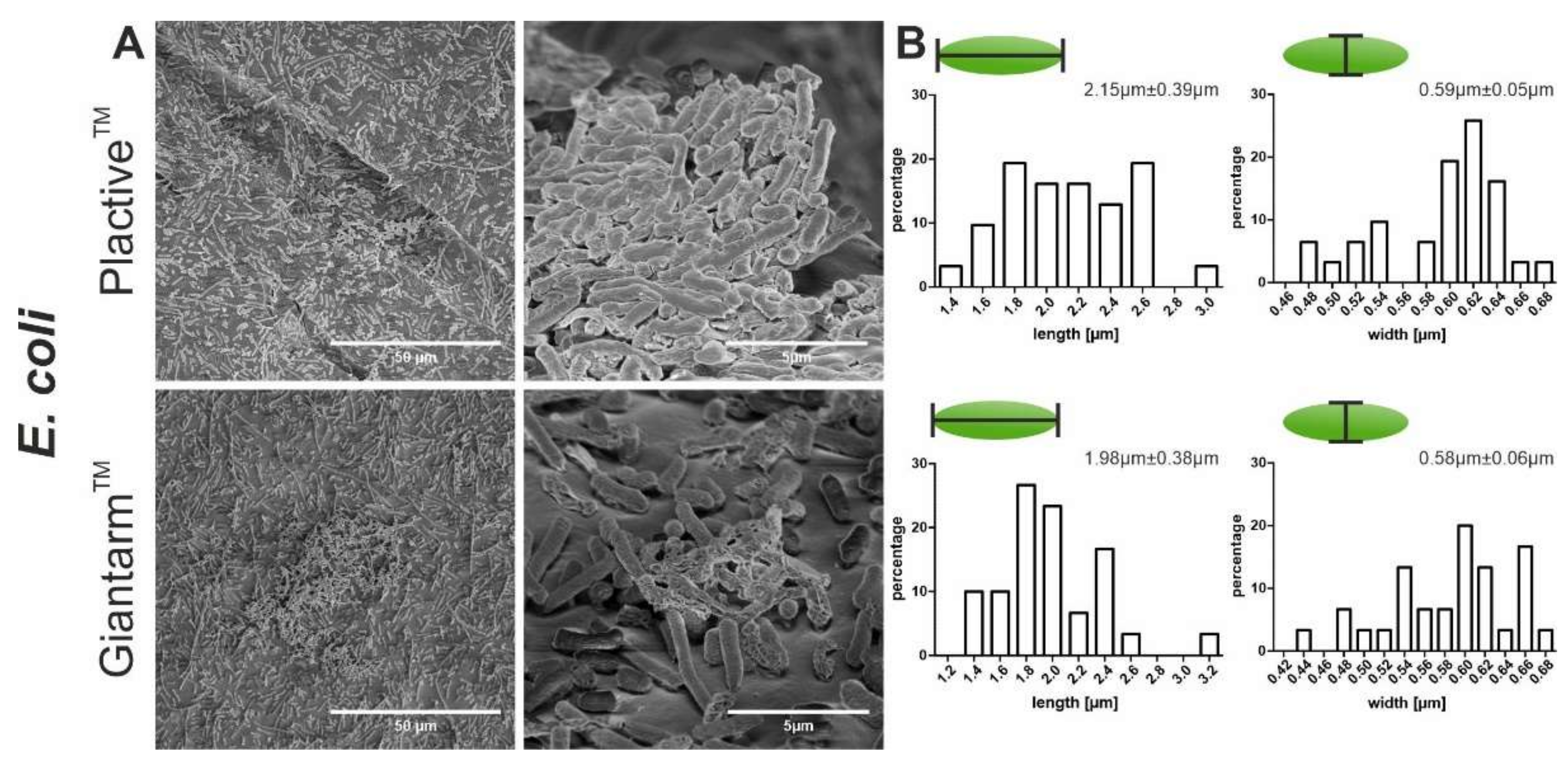 Microorganisms 10 00439 g004 Microorganisms 10 00439 g004